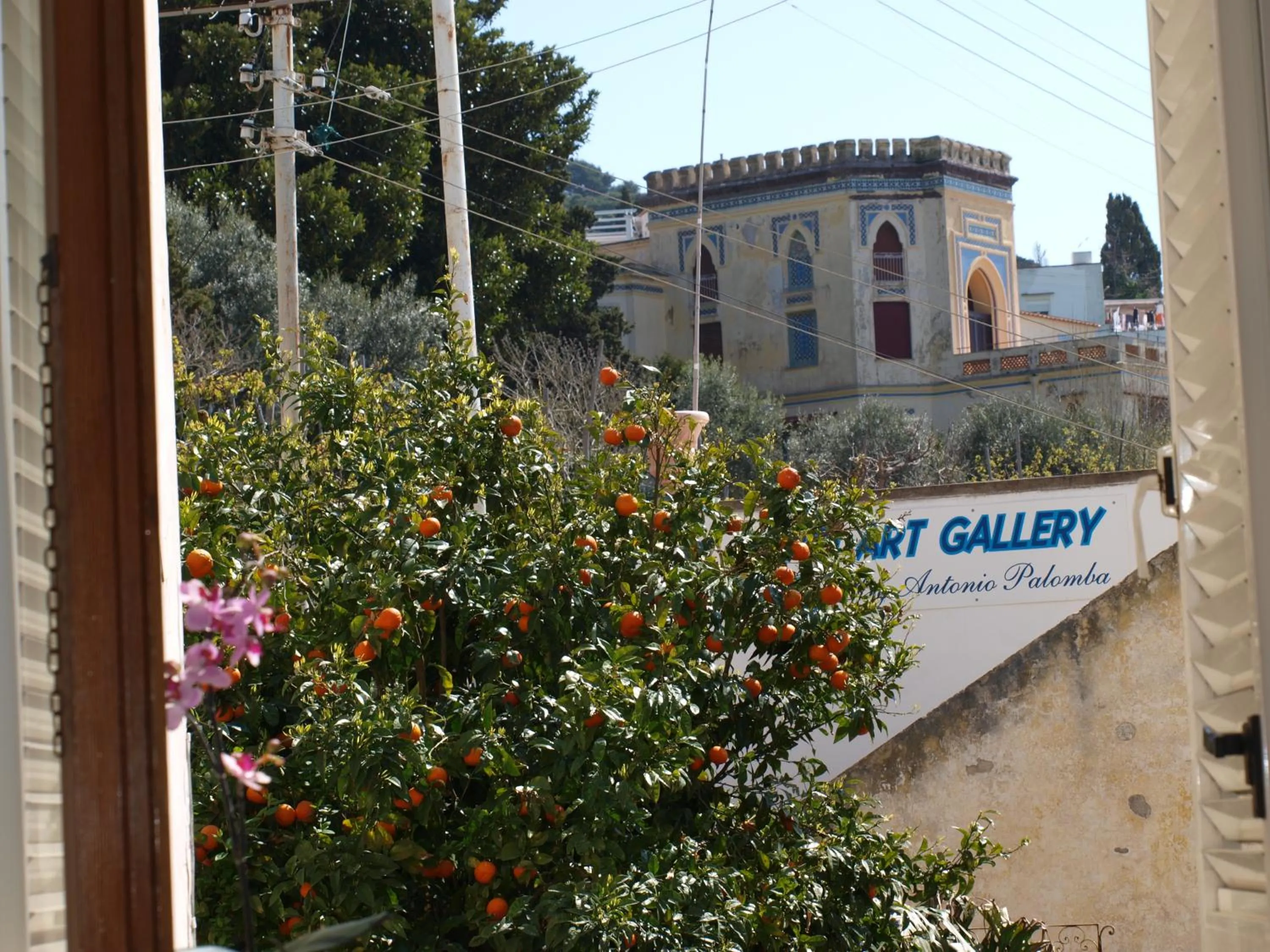 Garden view in Villa Apollo B&B