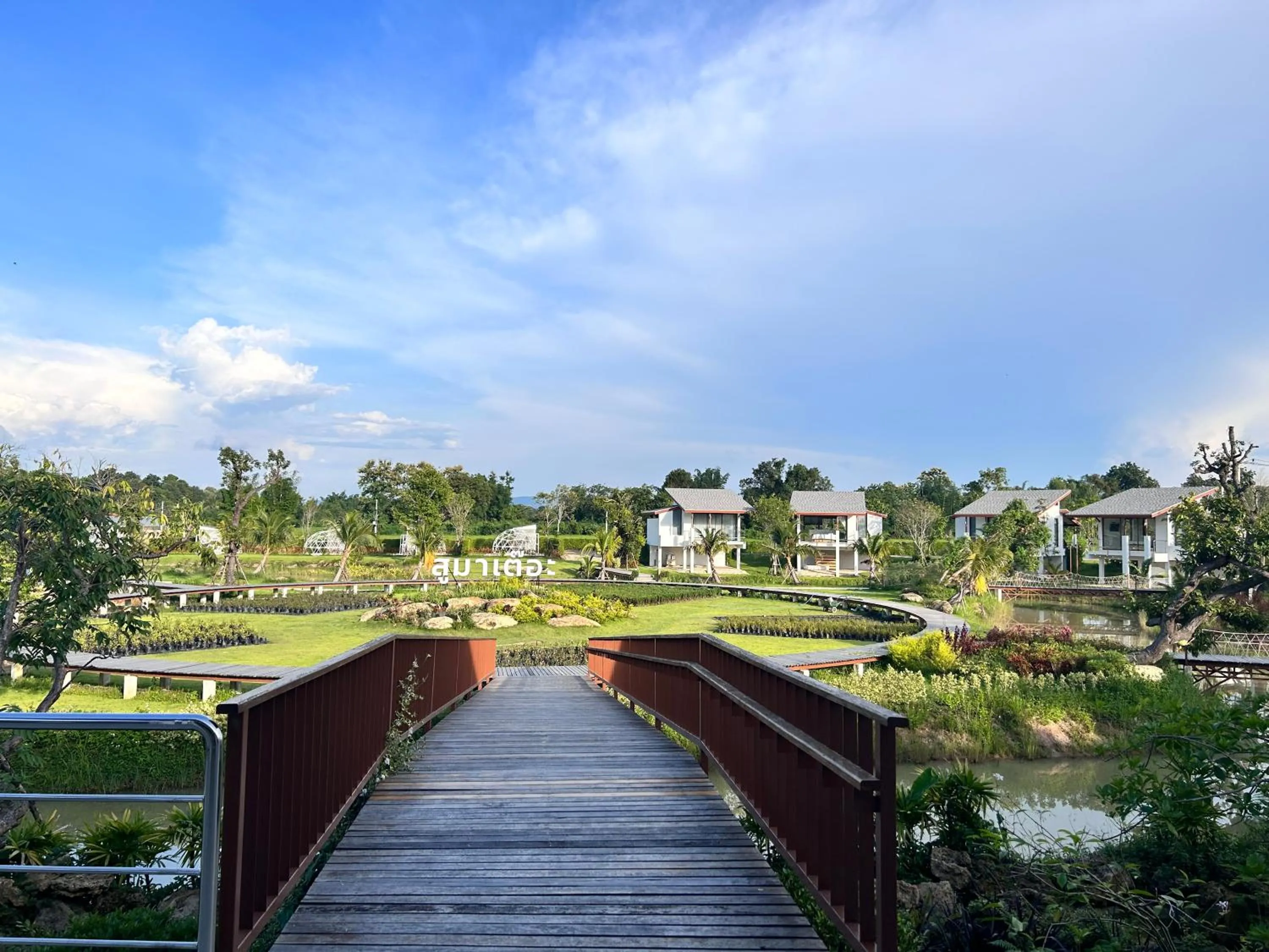 View (from property/room) in Sumator Resort Chiangrai สูมาเต๊อะ รีสอร์ท เชียงราย
