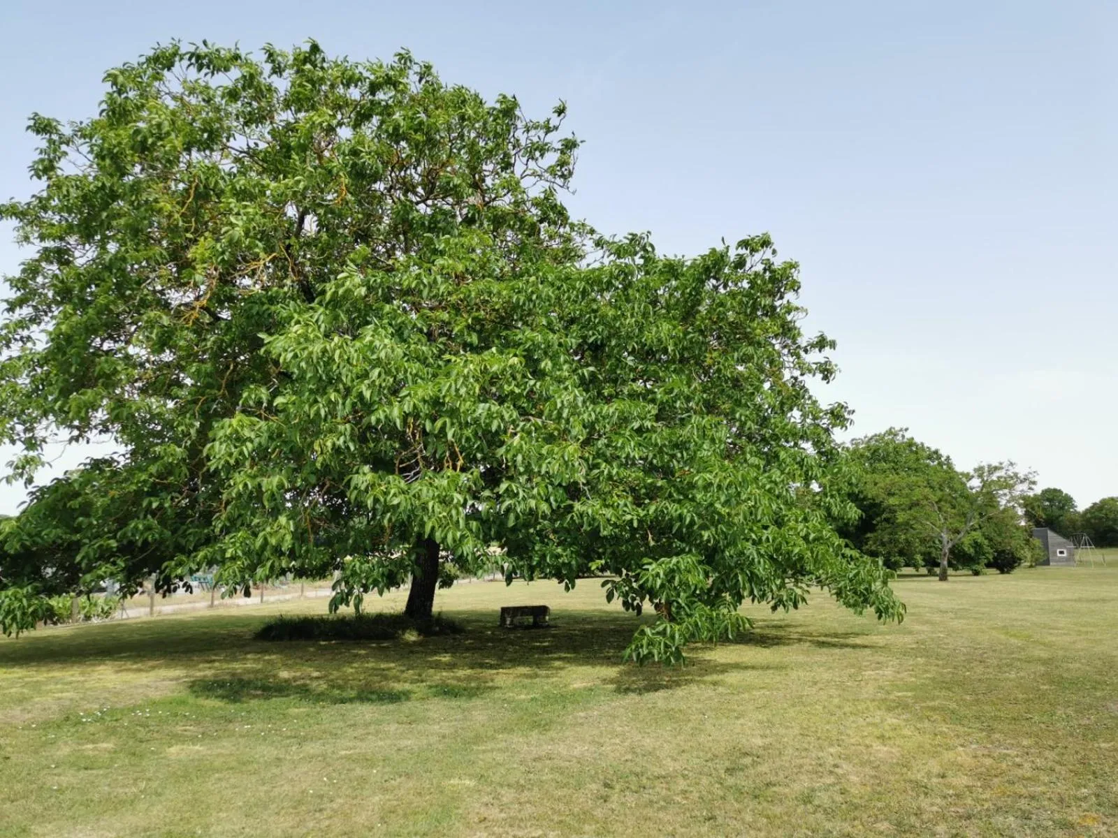Garden in L'Ancienne Distillerie