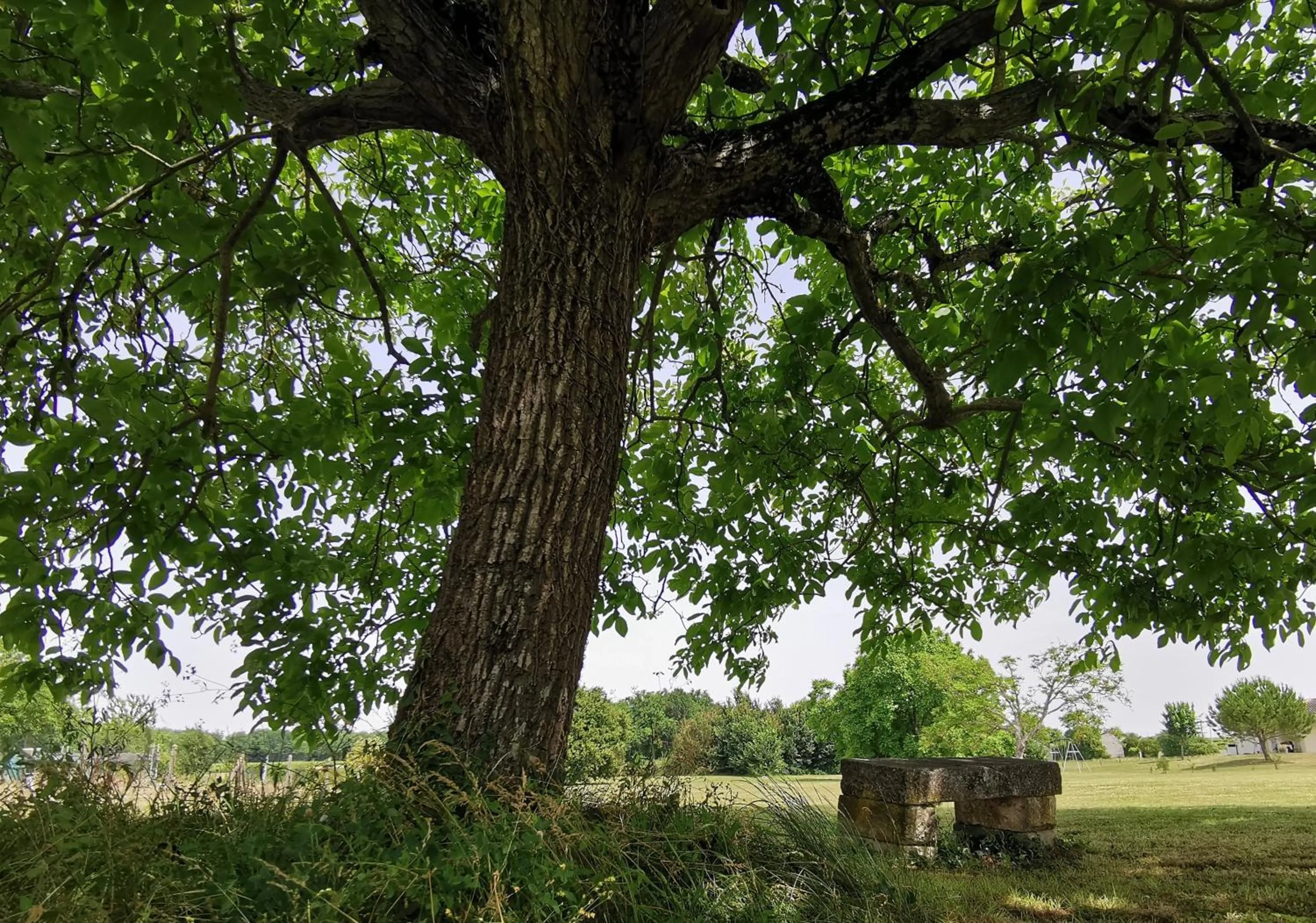 Garden in L'Ancienne Distillerie