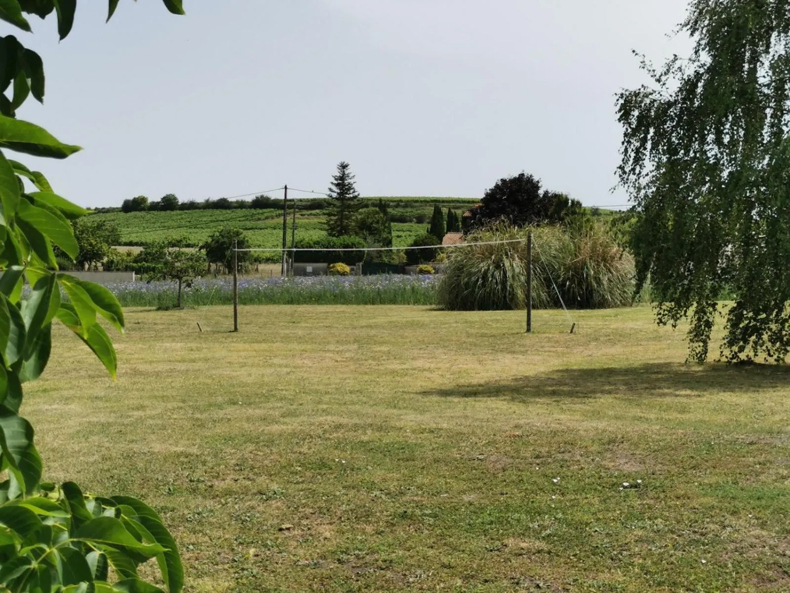 Garden in L'Ancienne Distillerie