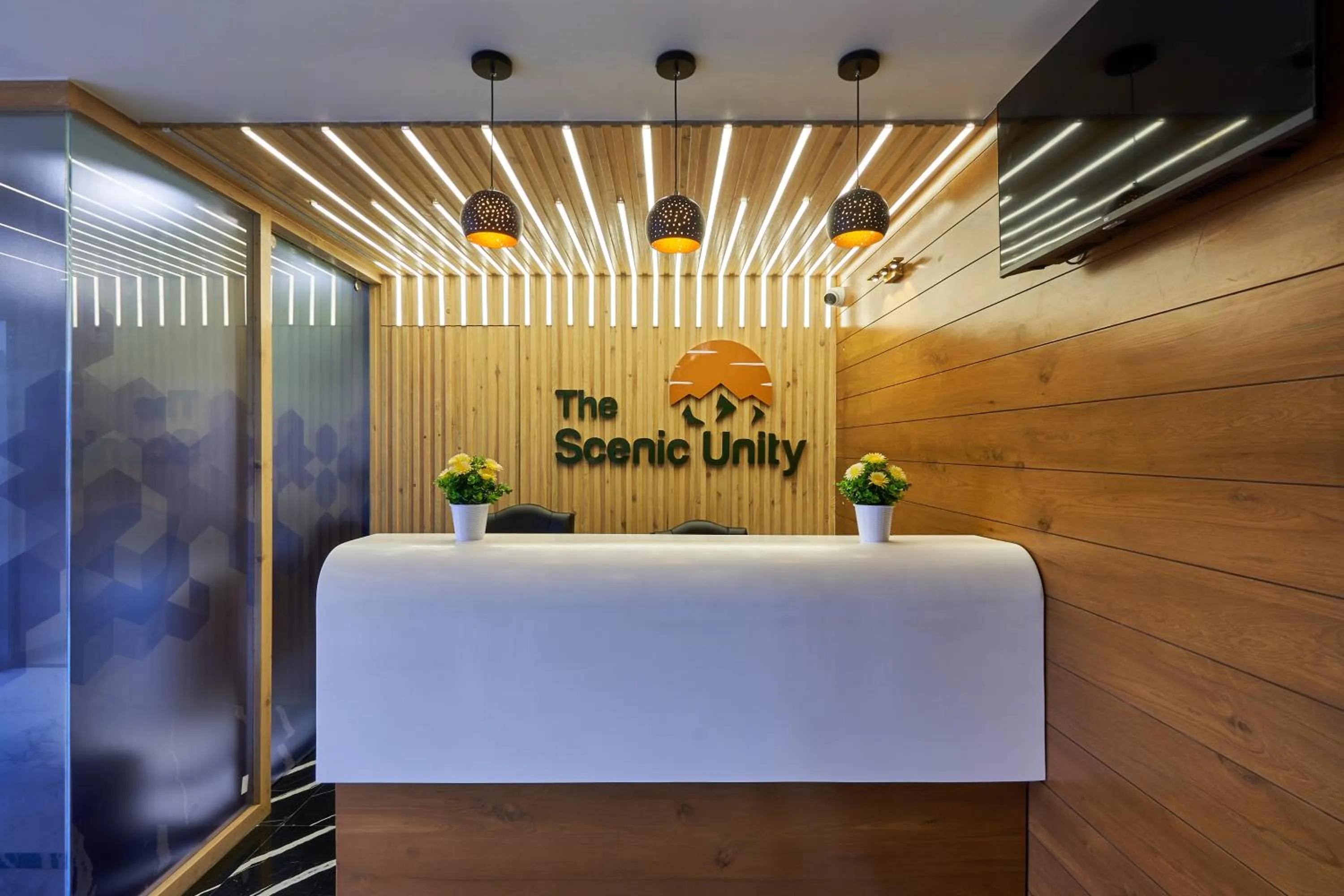 Text overlay in The Scenic Unity