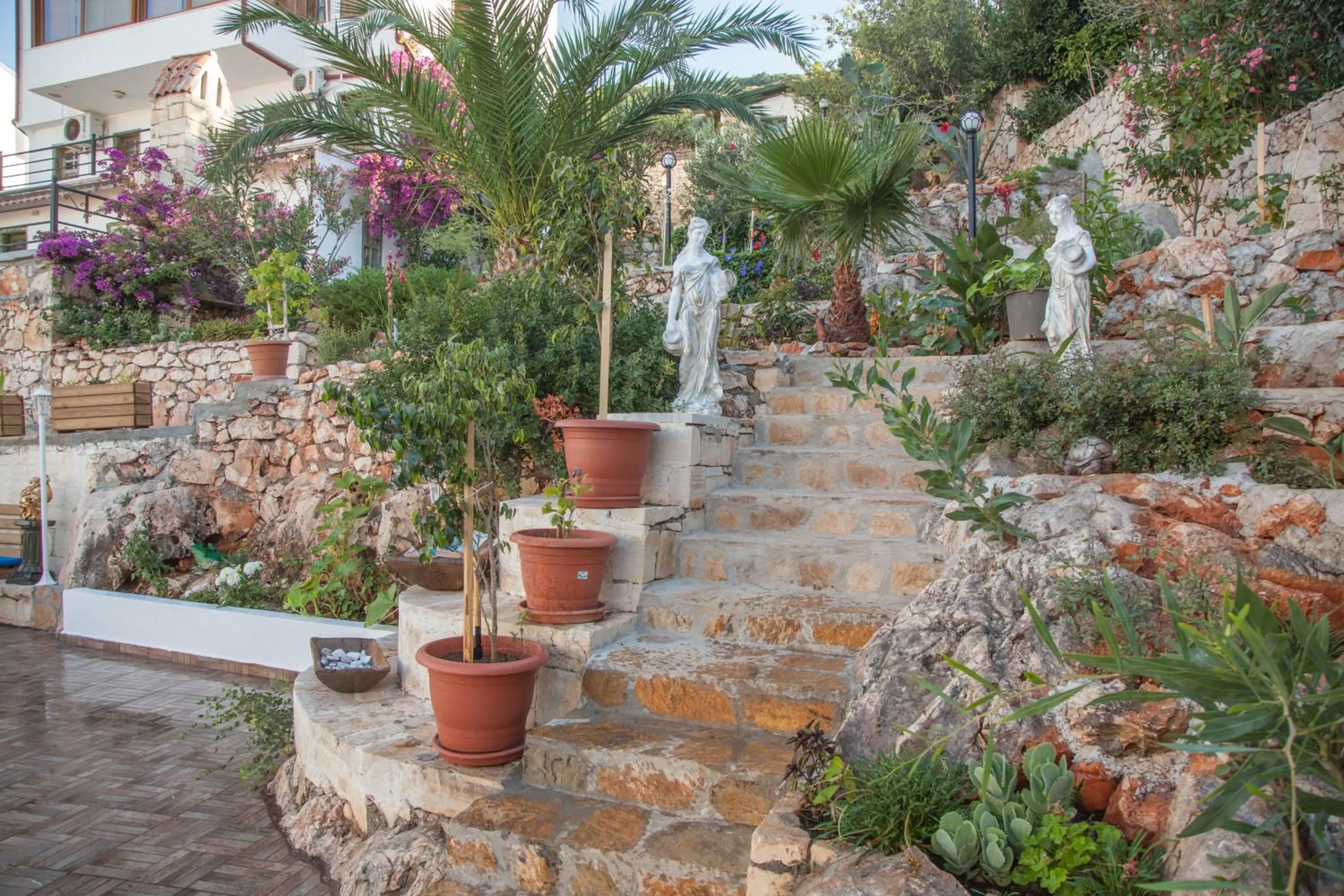 Garden in Sunset Villa Hotel