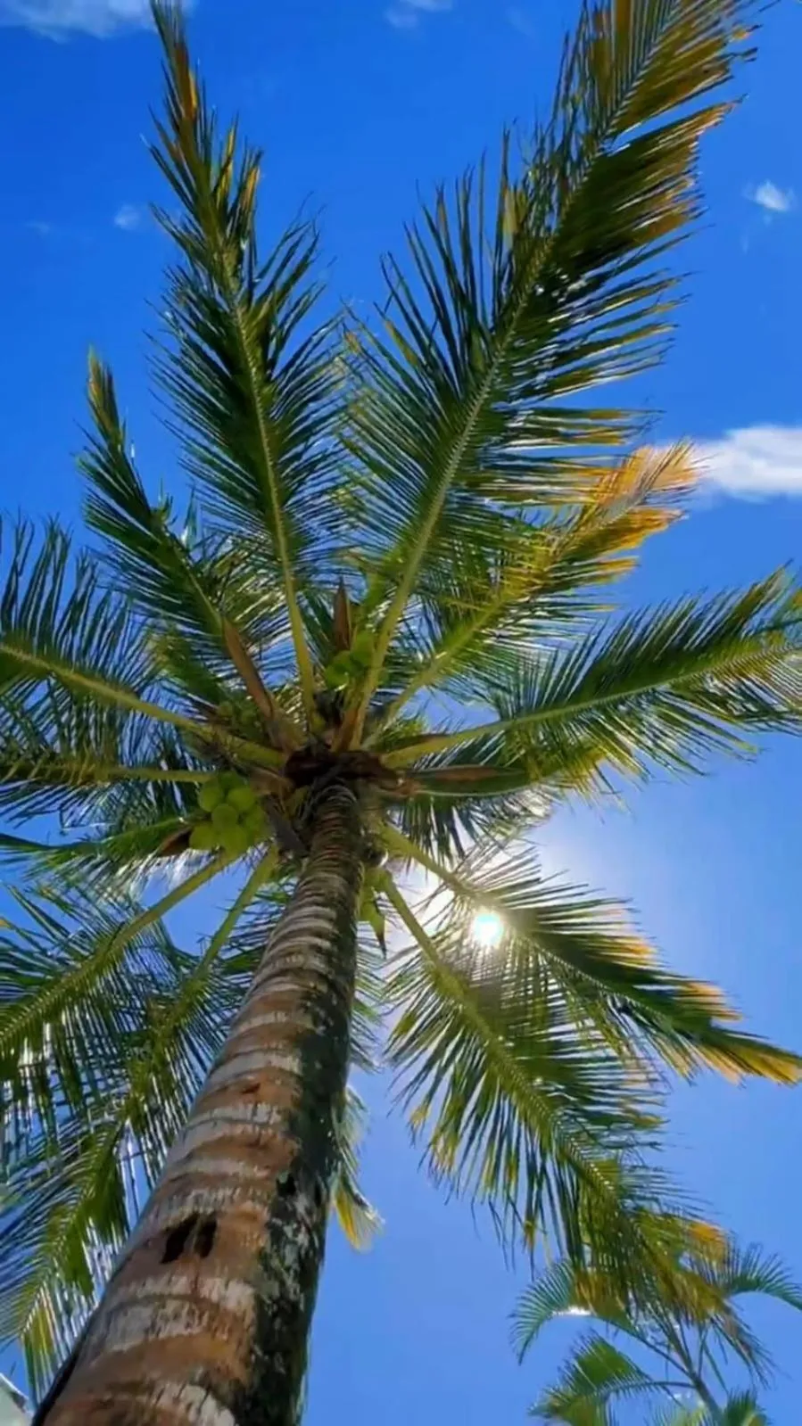 Day in VOA Sweet Geribá