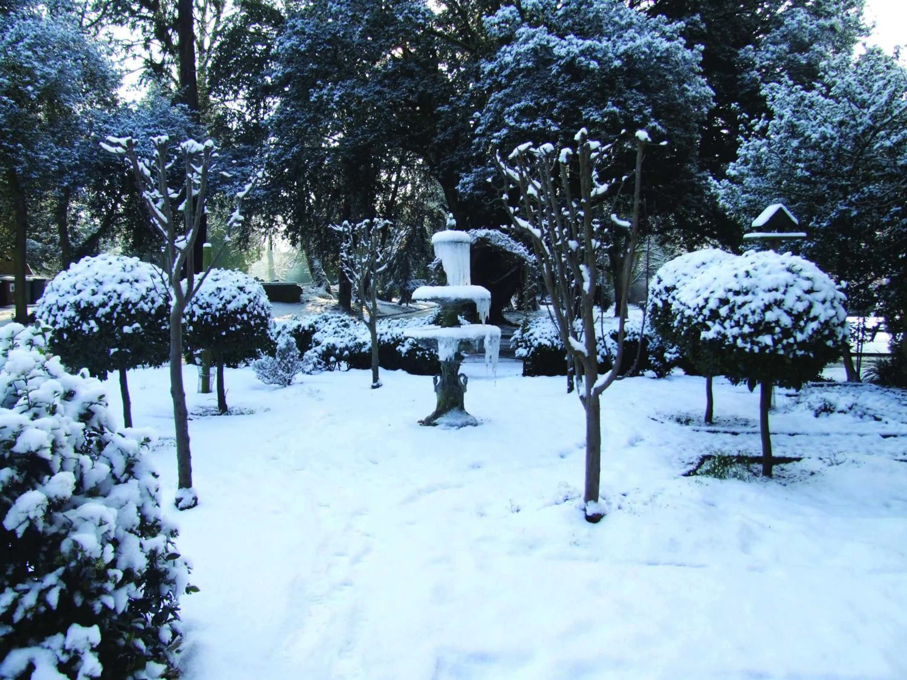 Garden in Orton Hall Hotel & Spa