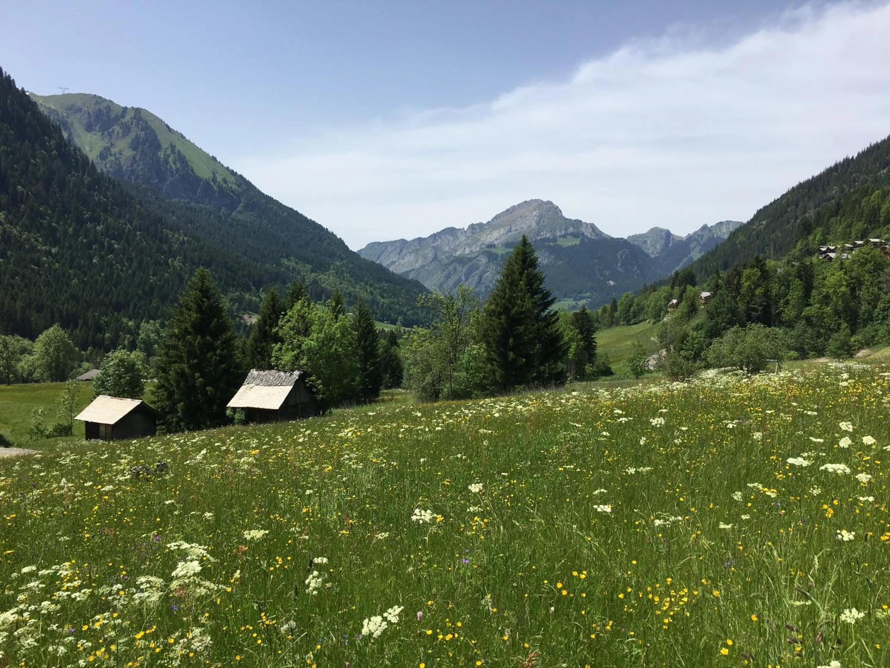 Spring in La Chaumiere - Luxury Traditional Chalet, Châtel