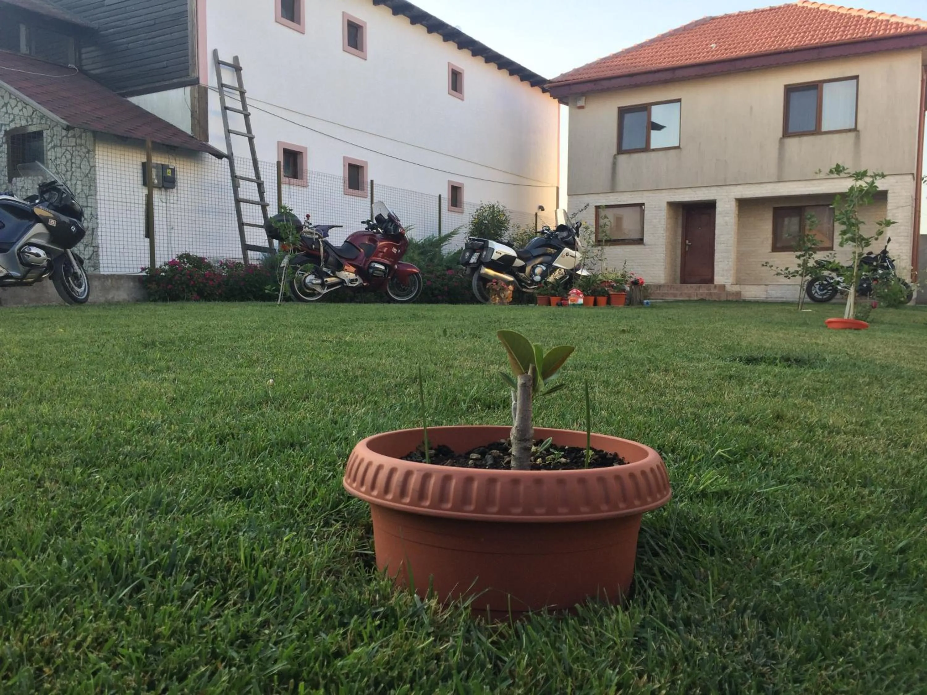 Garden in Casa Noastra