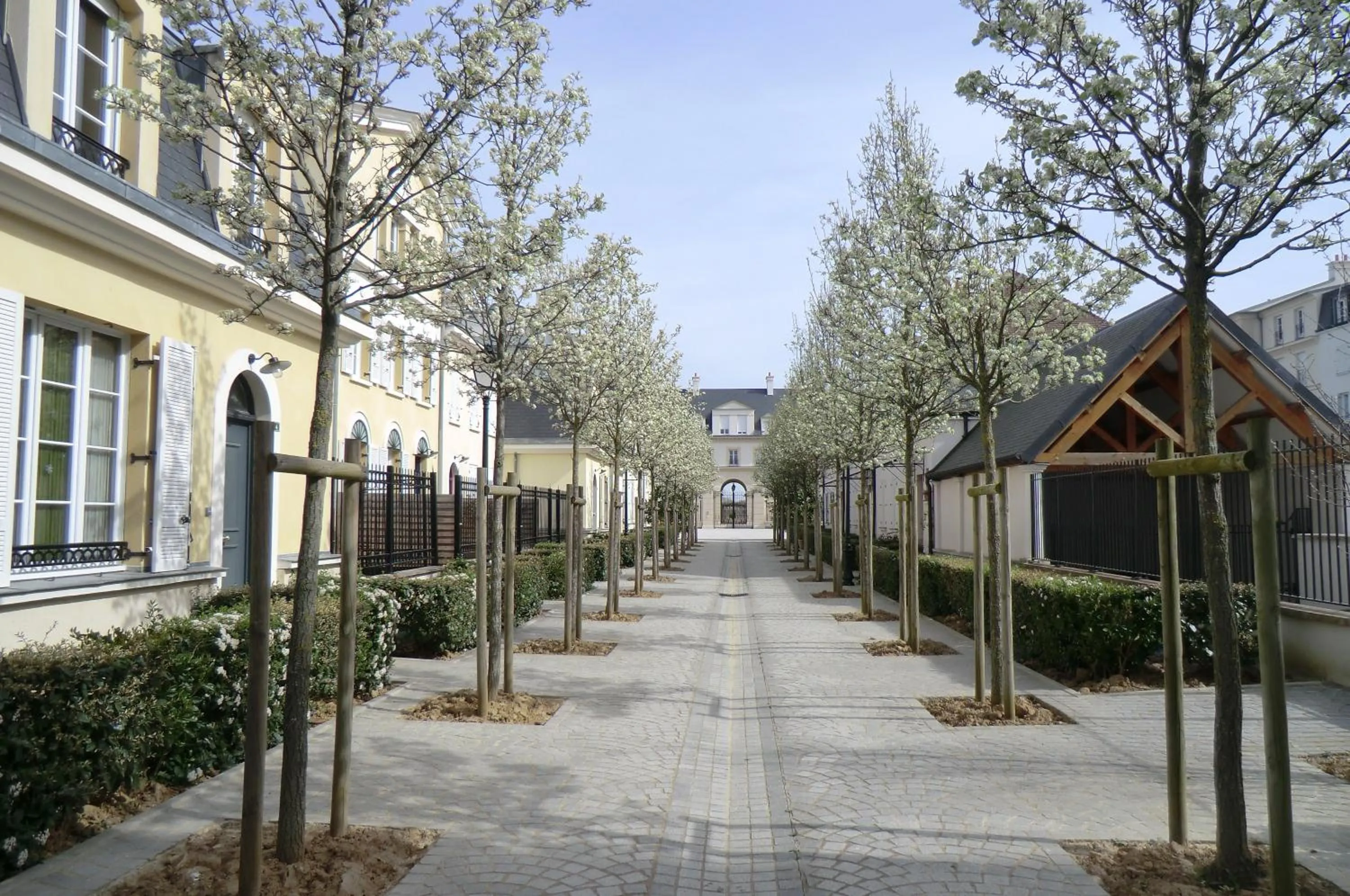 Area and facilities in Appartement Serris