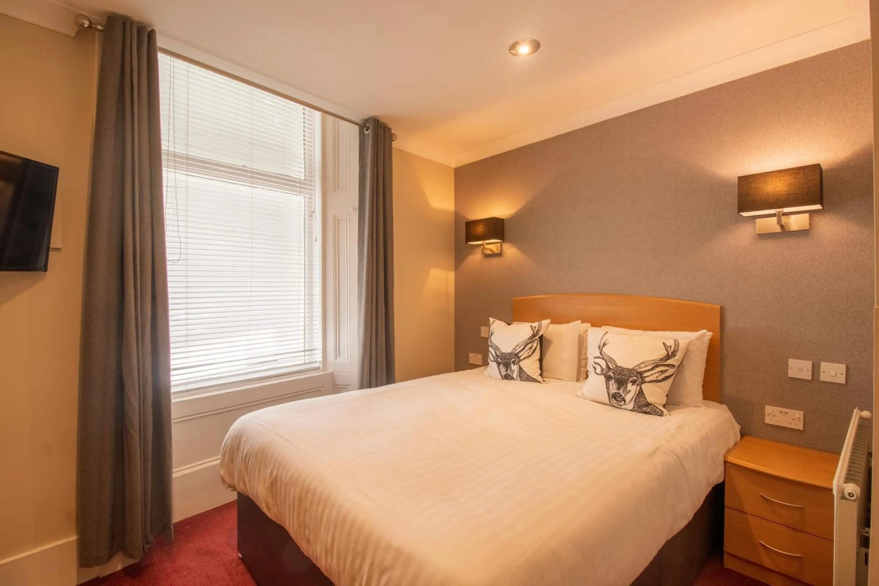 Photo of the whole room, Bed in Albion Hotel