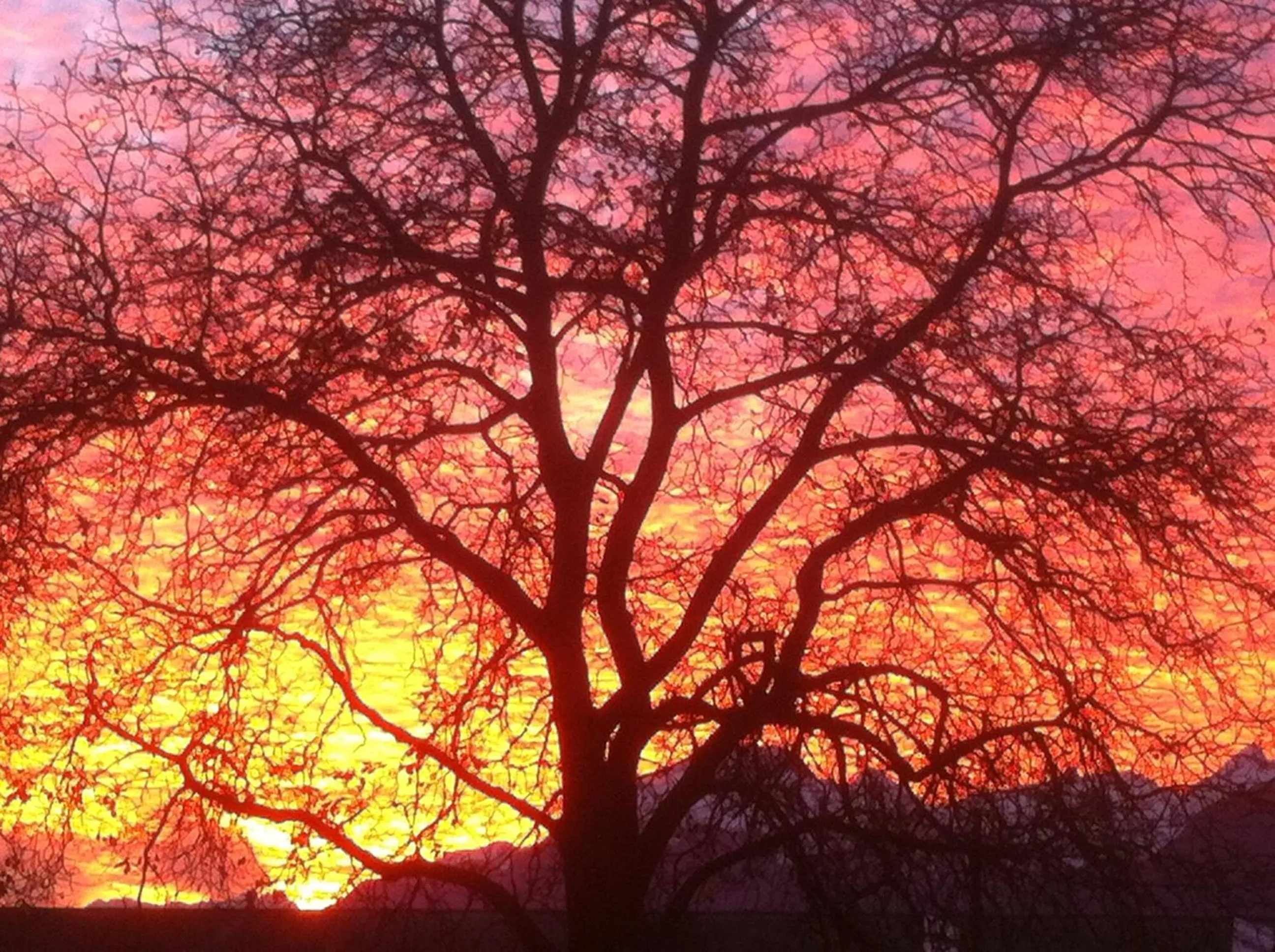 View (from property/room) in Les Gîtes du Cairn