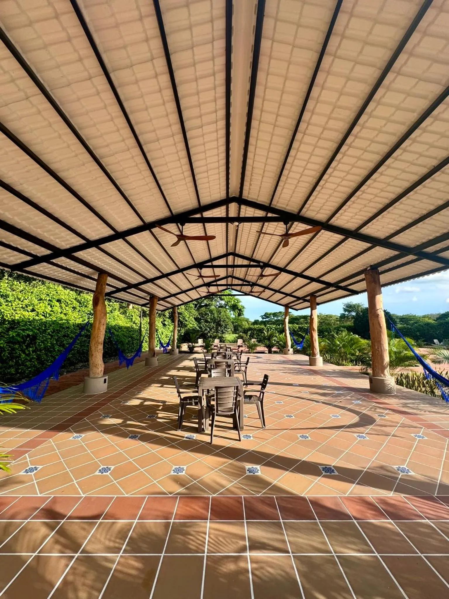 Garden in Hotel Morúa
