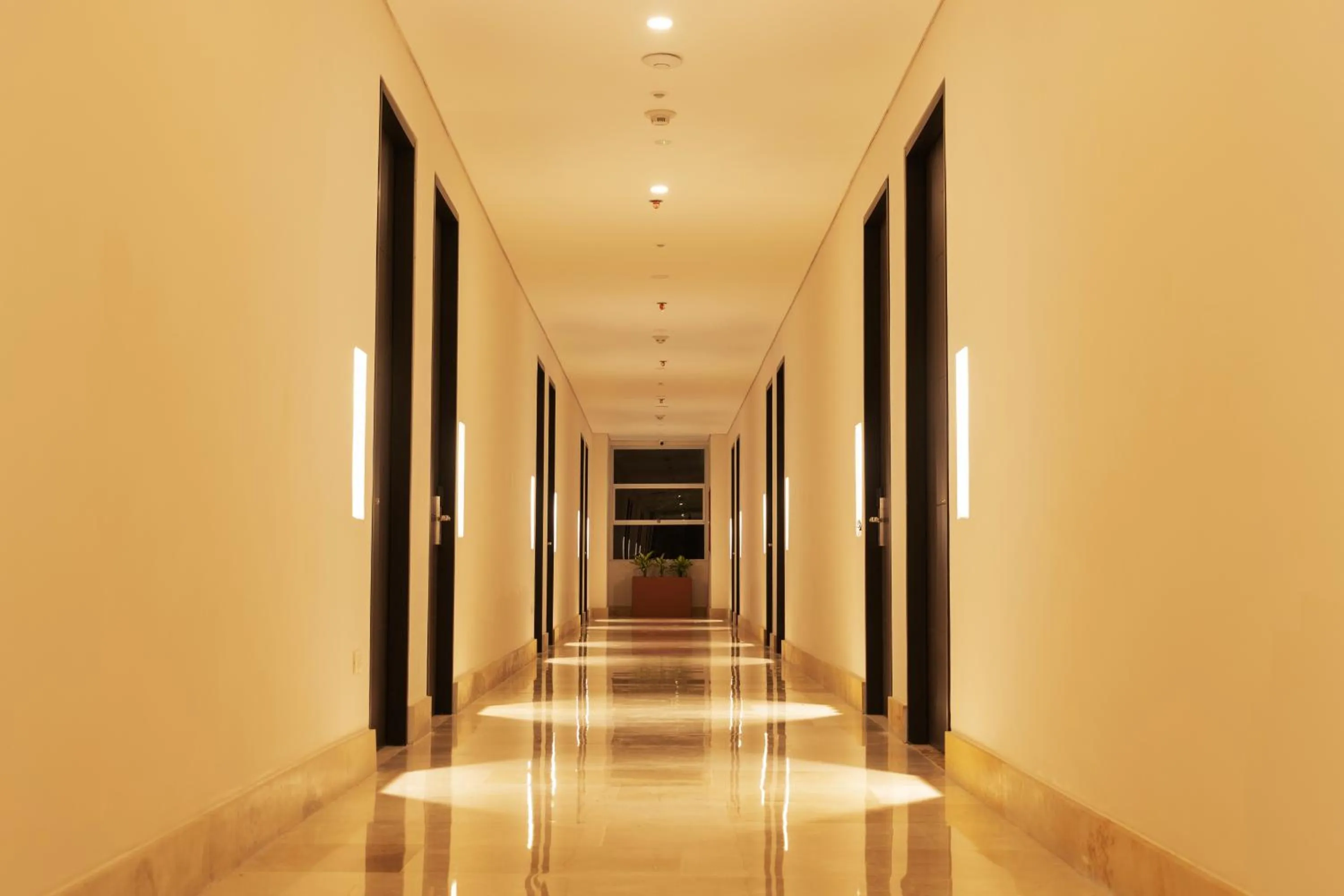 Property building in Hotel Morúa