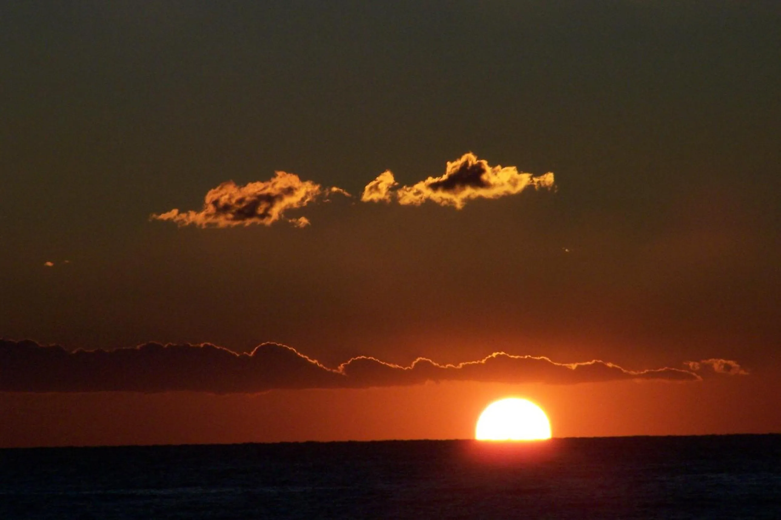 Beach in Rose Garden Apart Hotel