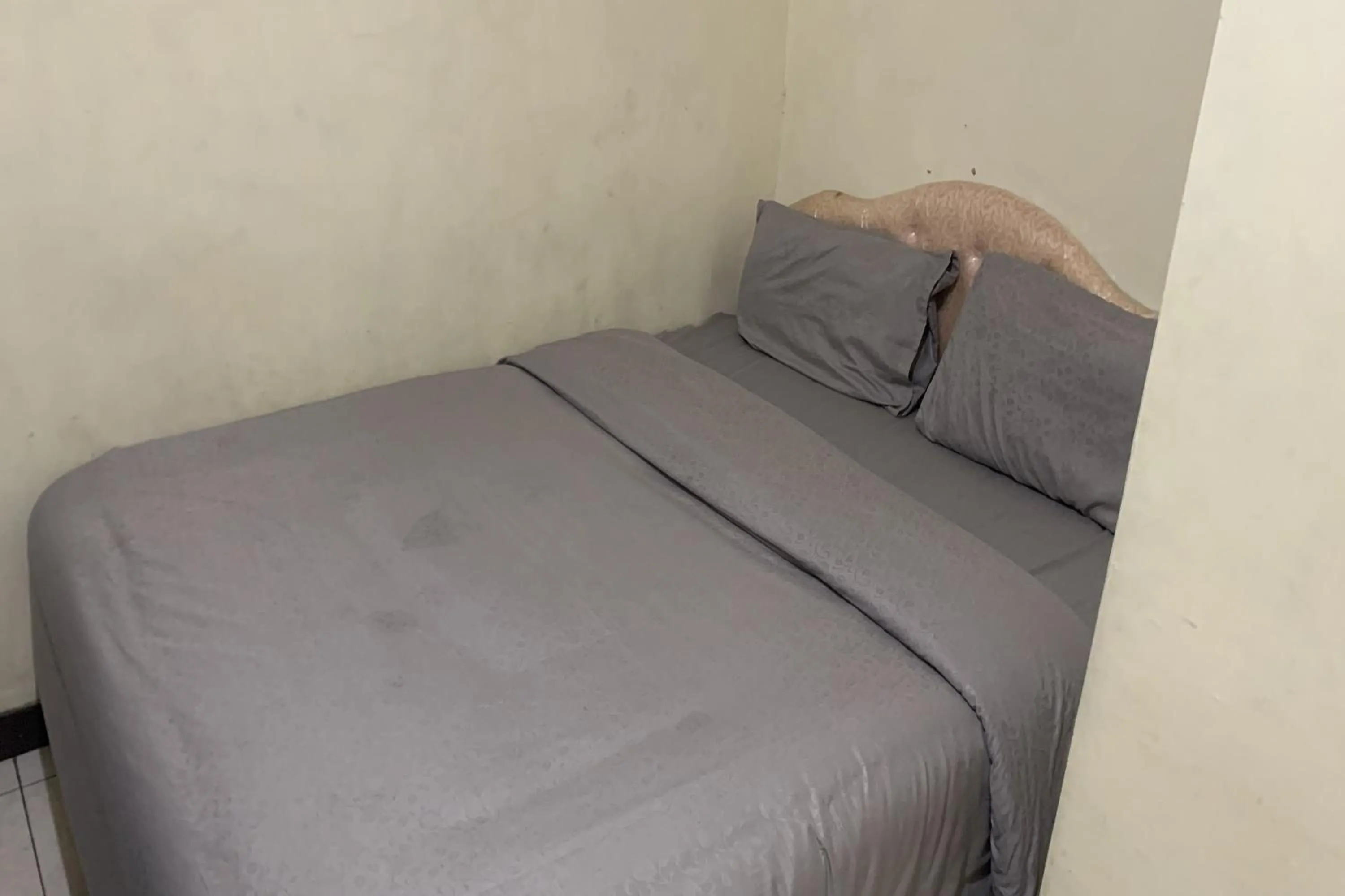 Bed in Ketapang Residence Powered Nature