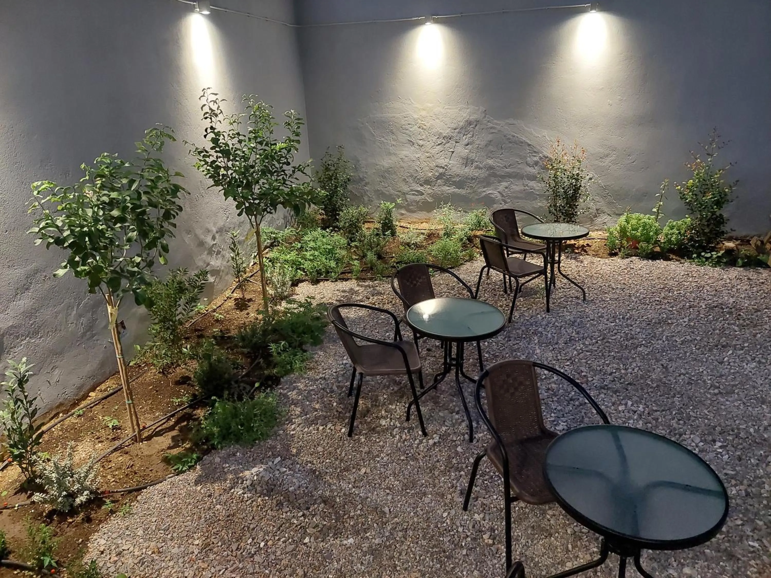 Garden in BMV APARTMENTS