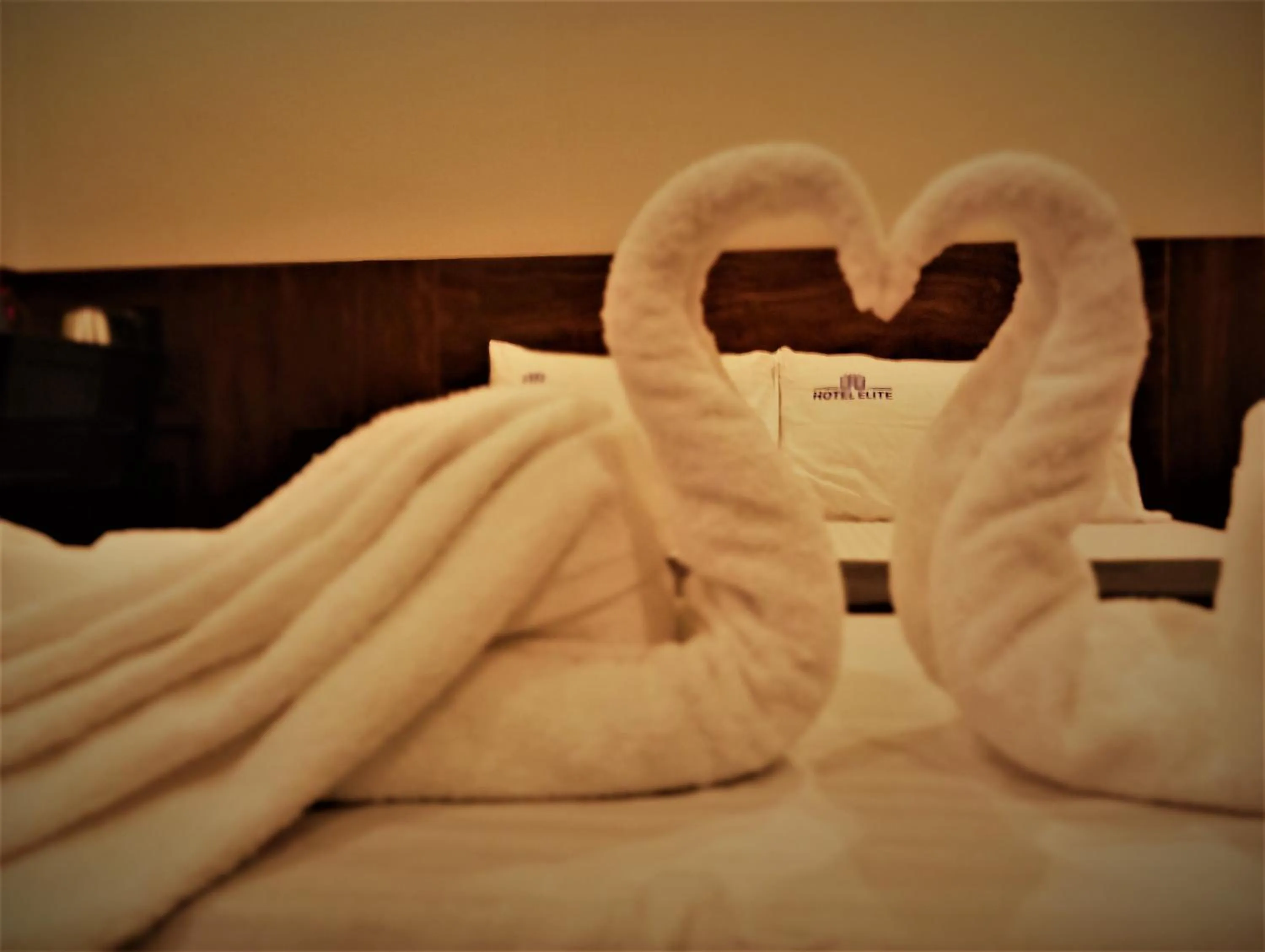 towels, Bed in HOTEL ELITE