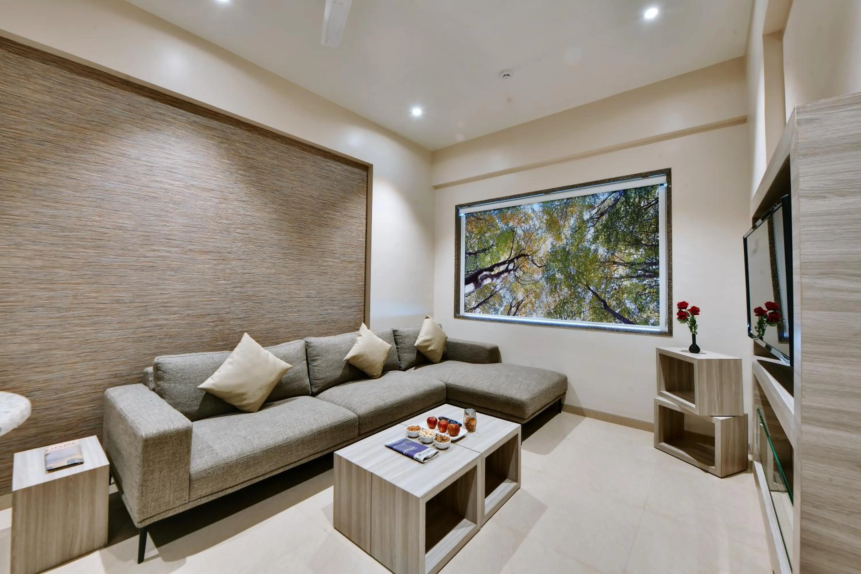 TV and multimedia in Click Hotel Pithampur