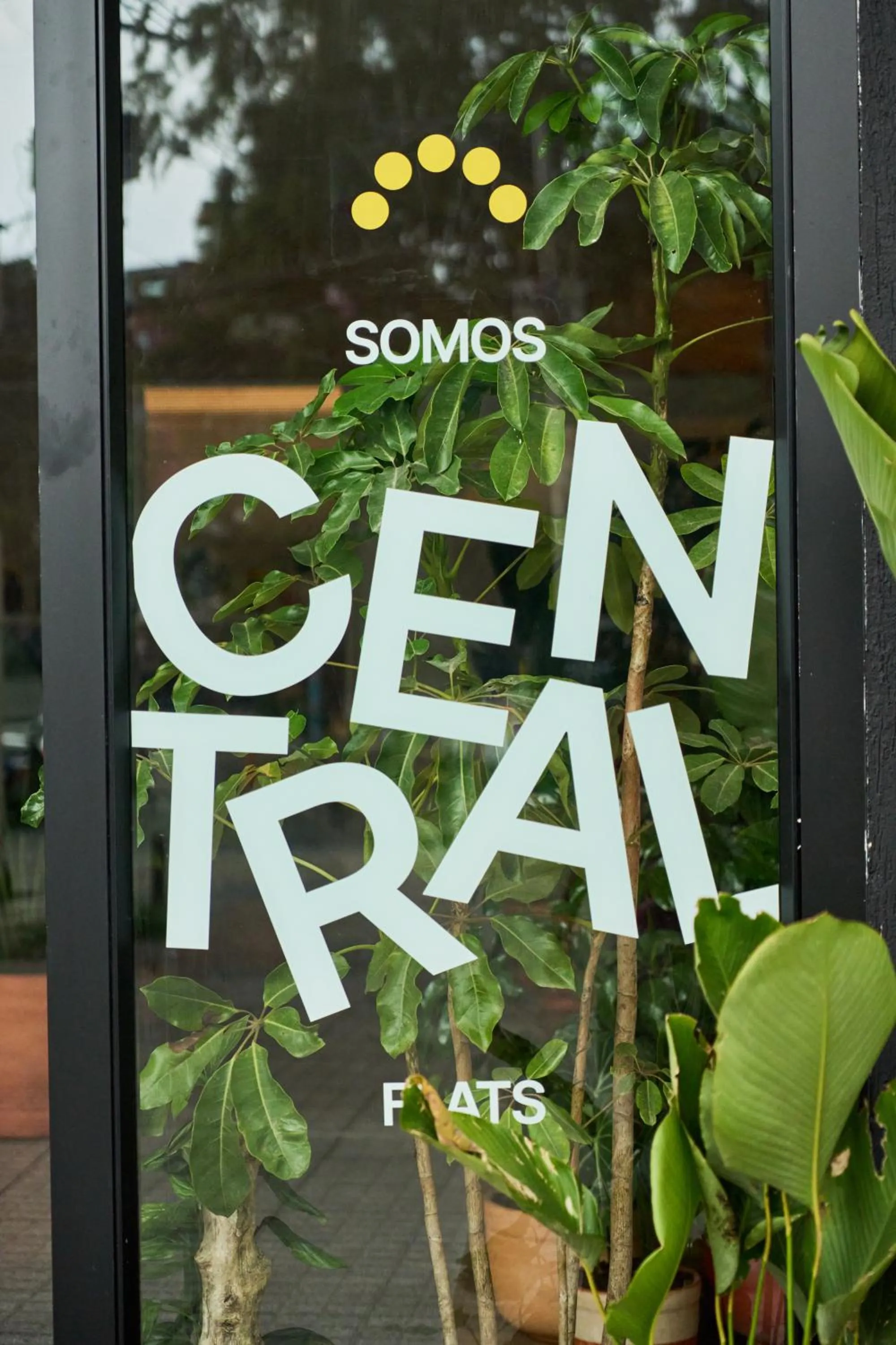 Logo/Certificate/Sign in The Somos Central Hotel Poblado