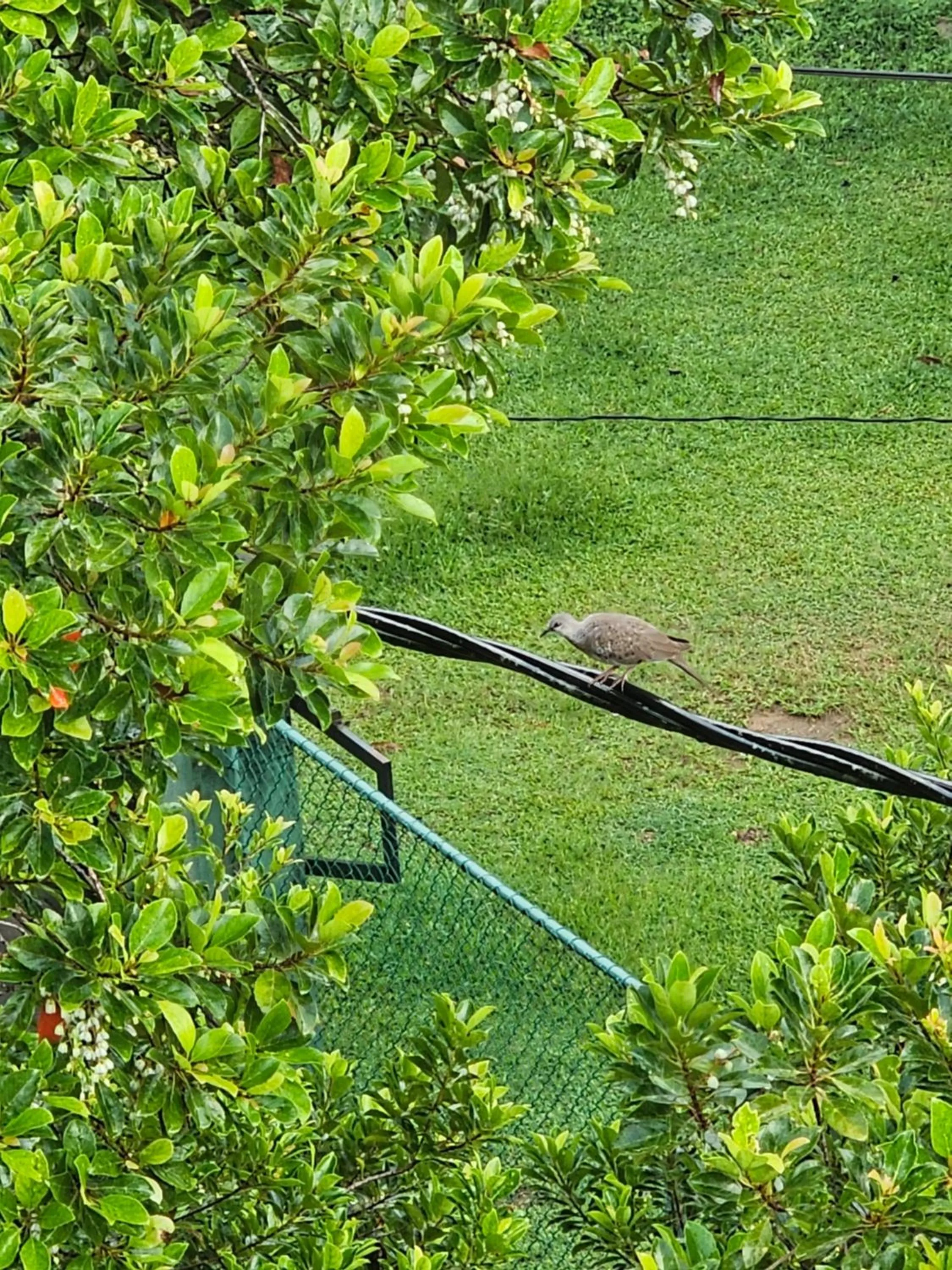 Natural landscape in Ellakanda Nature Villa