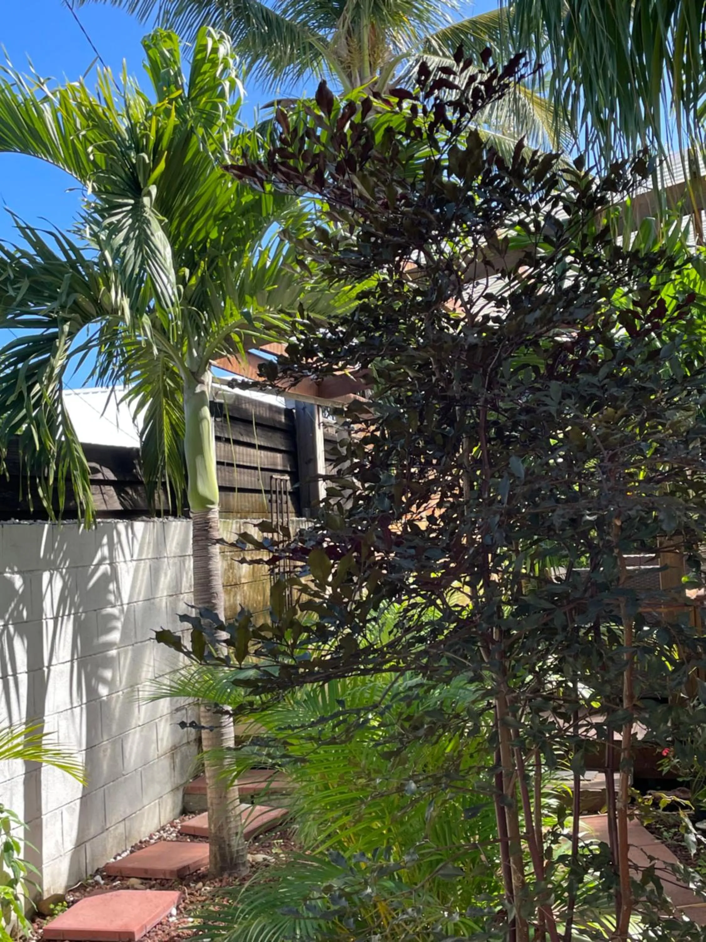Villa Albizia 974 avec piscine et spa