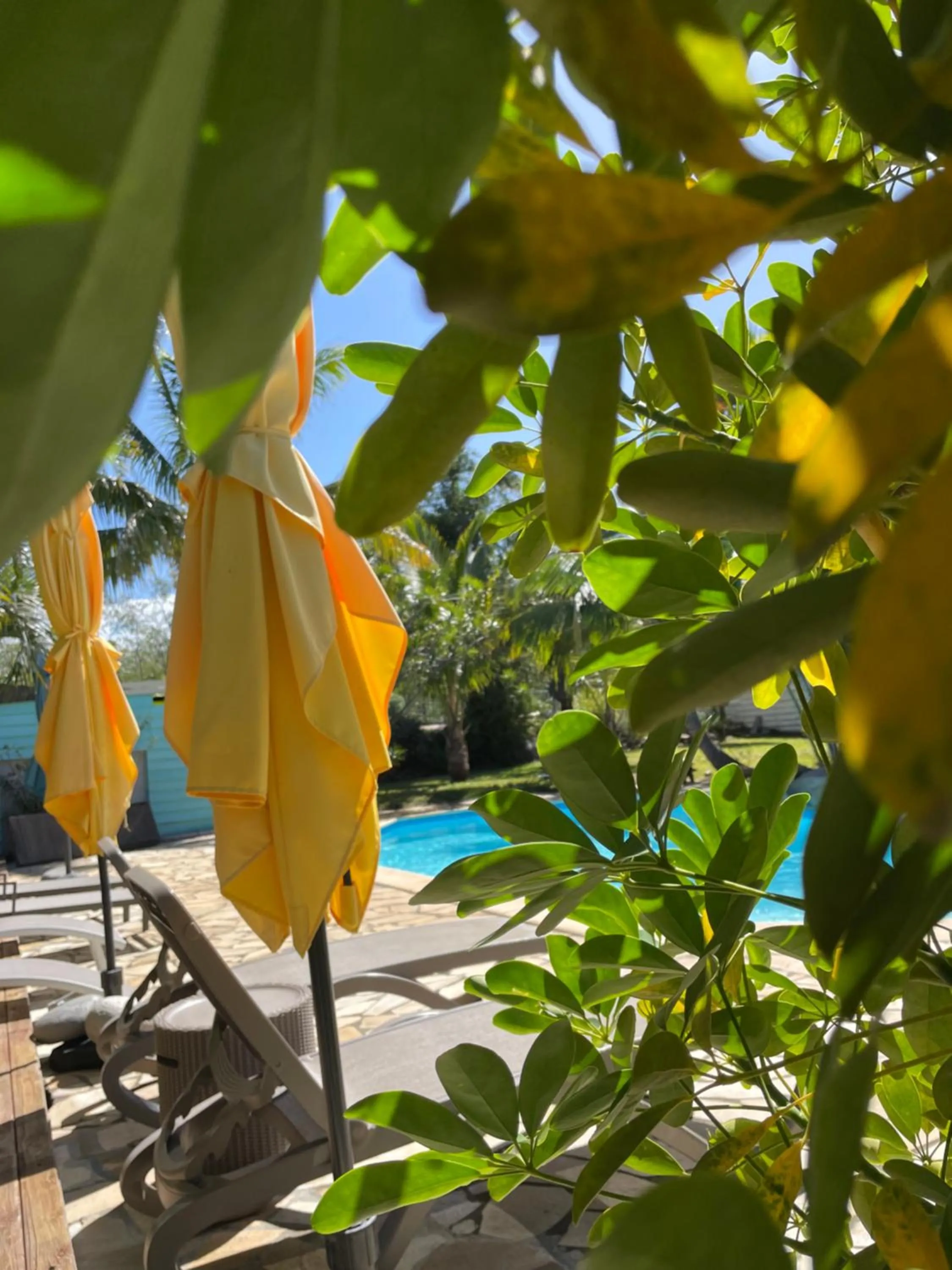 Villa Albizia 974 avec piscine et spa