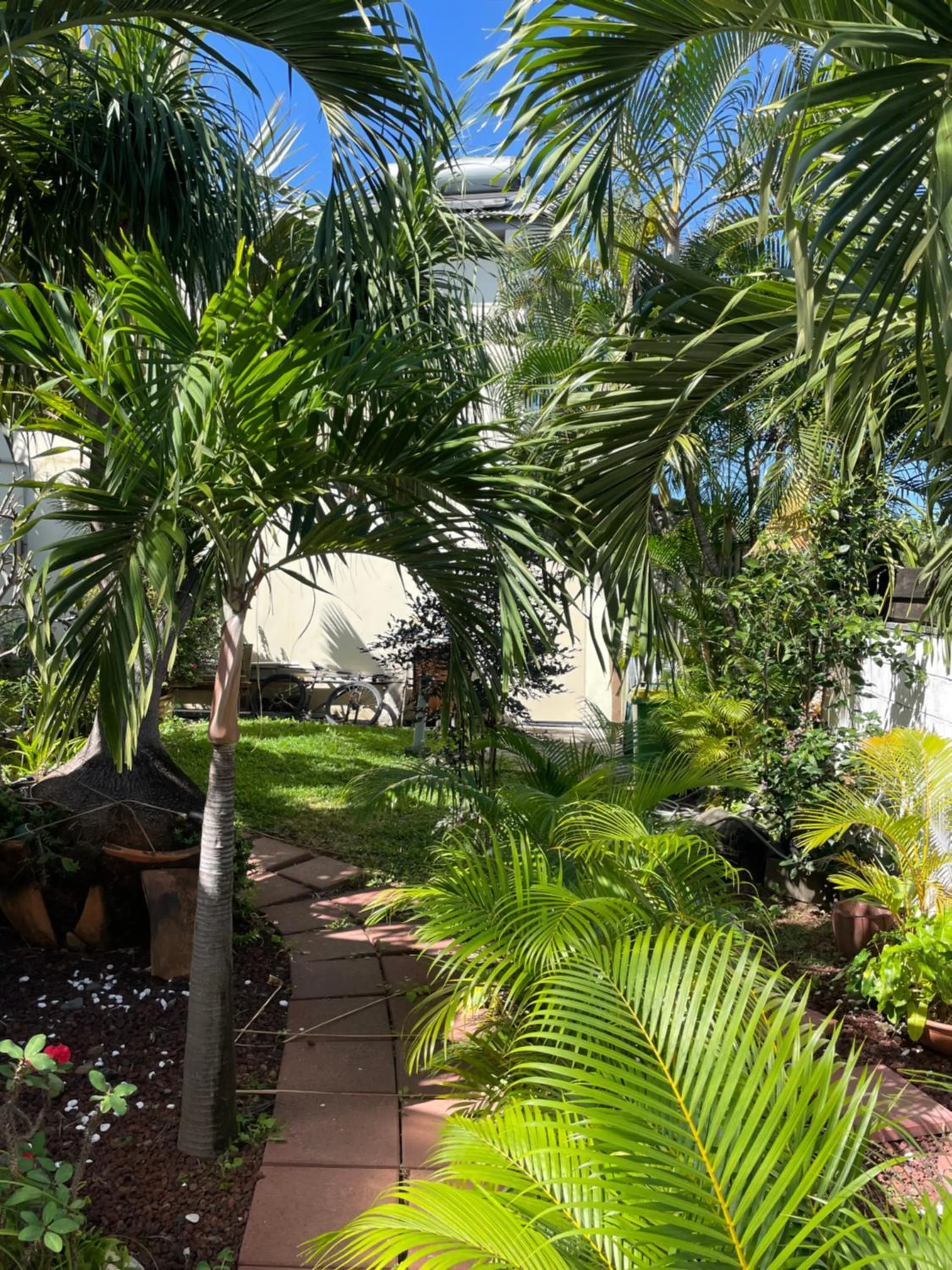 Garden in Villa Albizia 974 avec piscine et spa