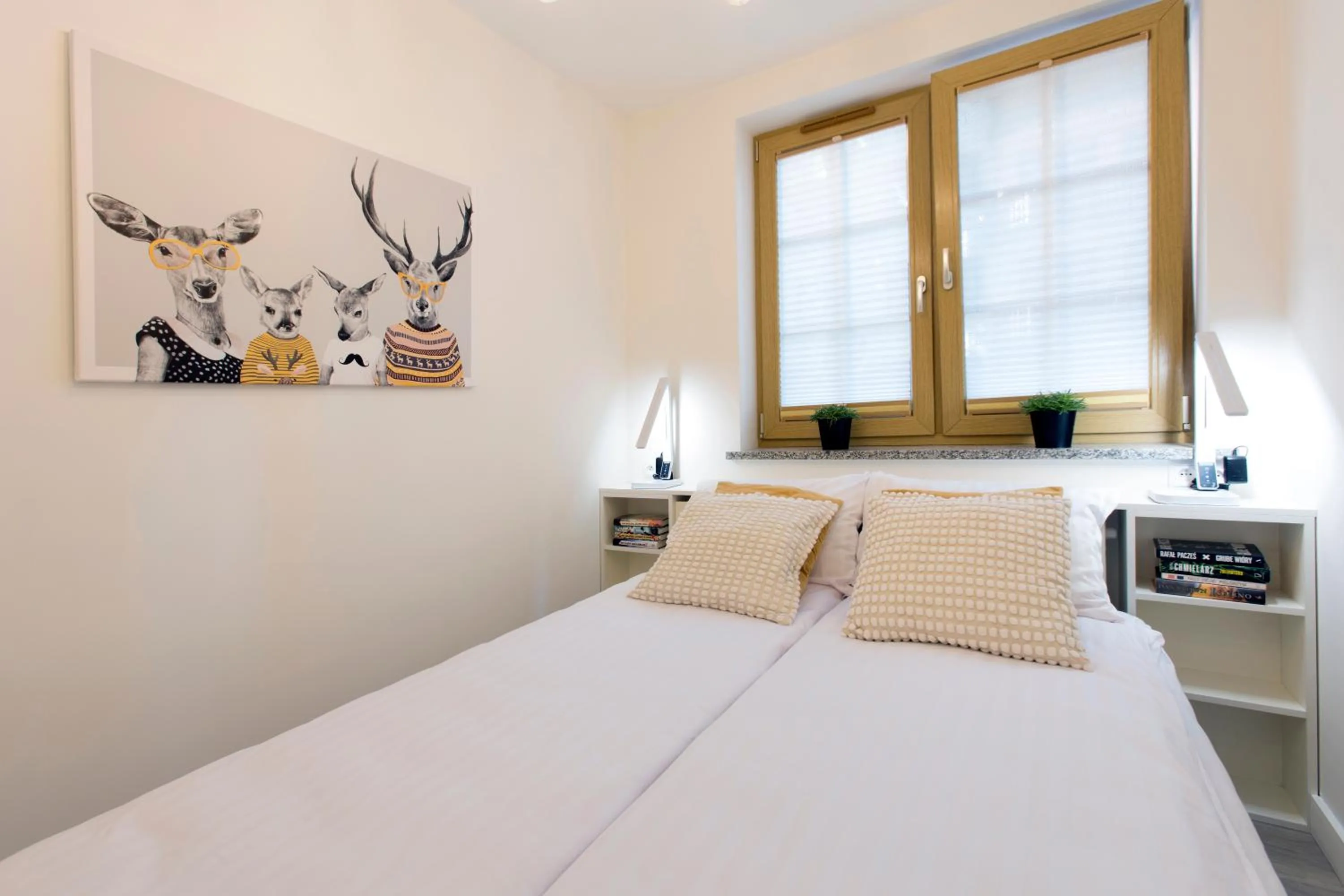 Apartament Młynkówka