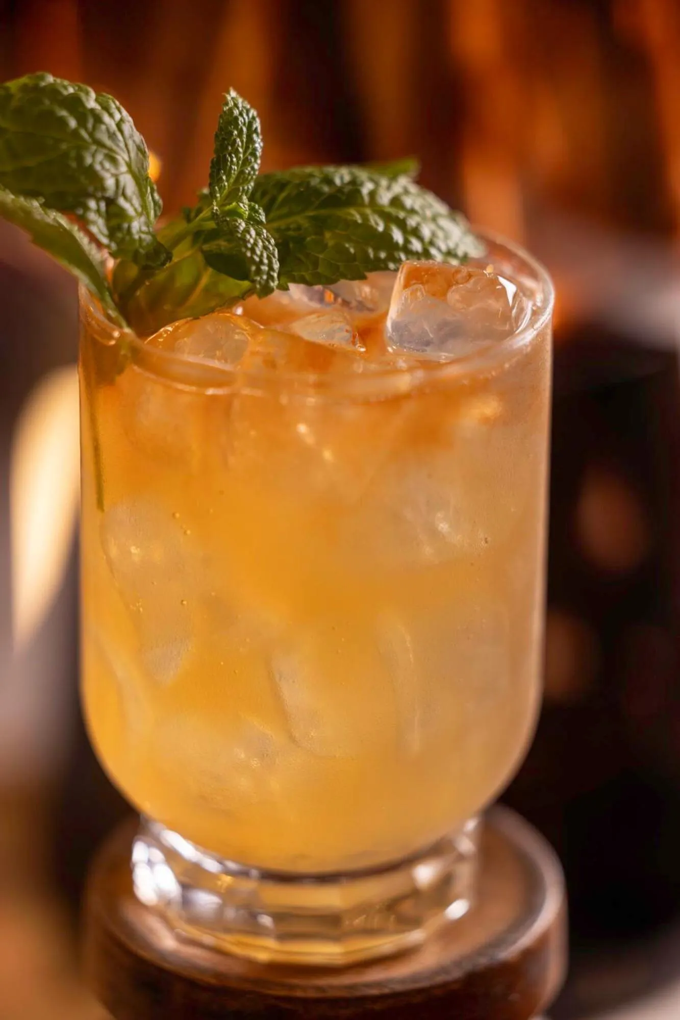 Drinks in Hôtel Pilgrim