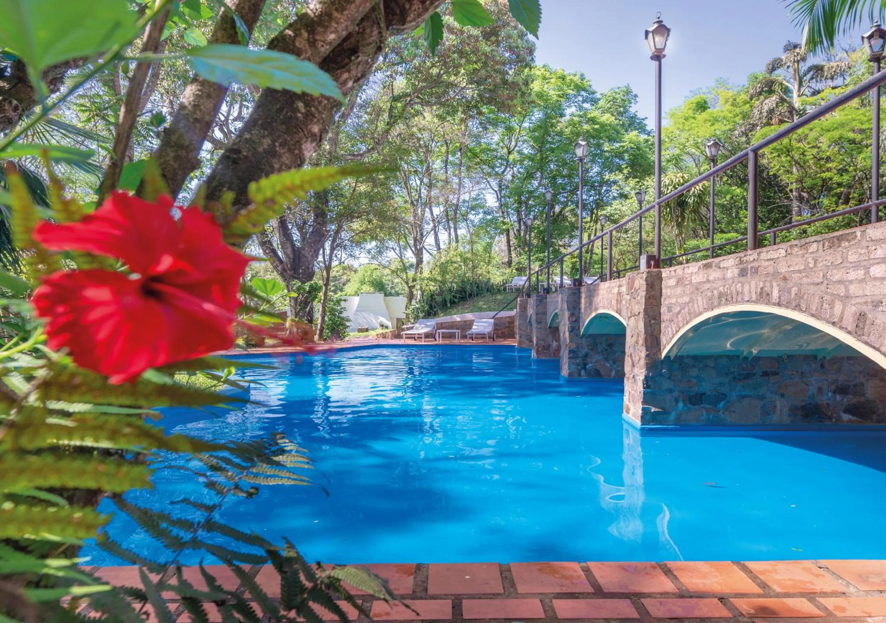 Spring in El Leñador by DOT Cabana