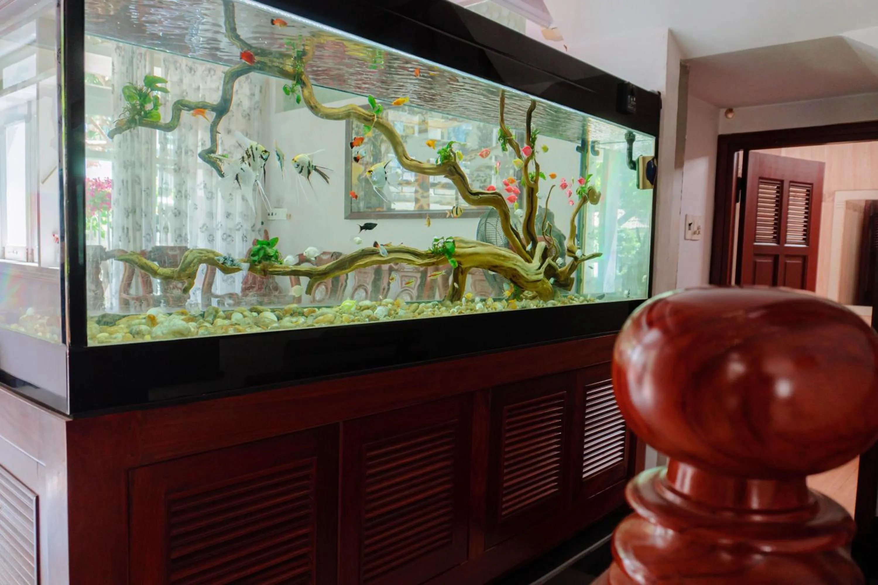 Living room in Homestay King Villa Phú Yên