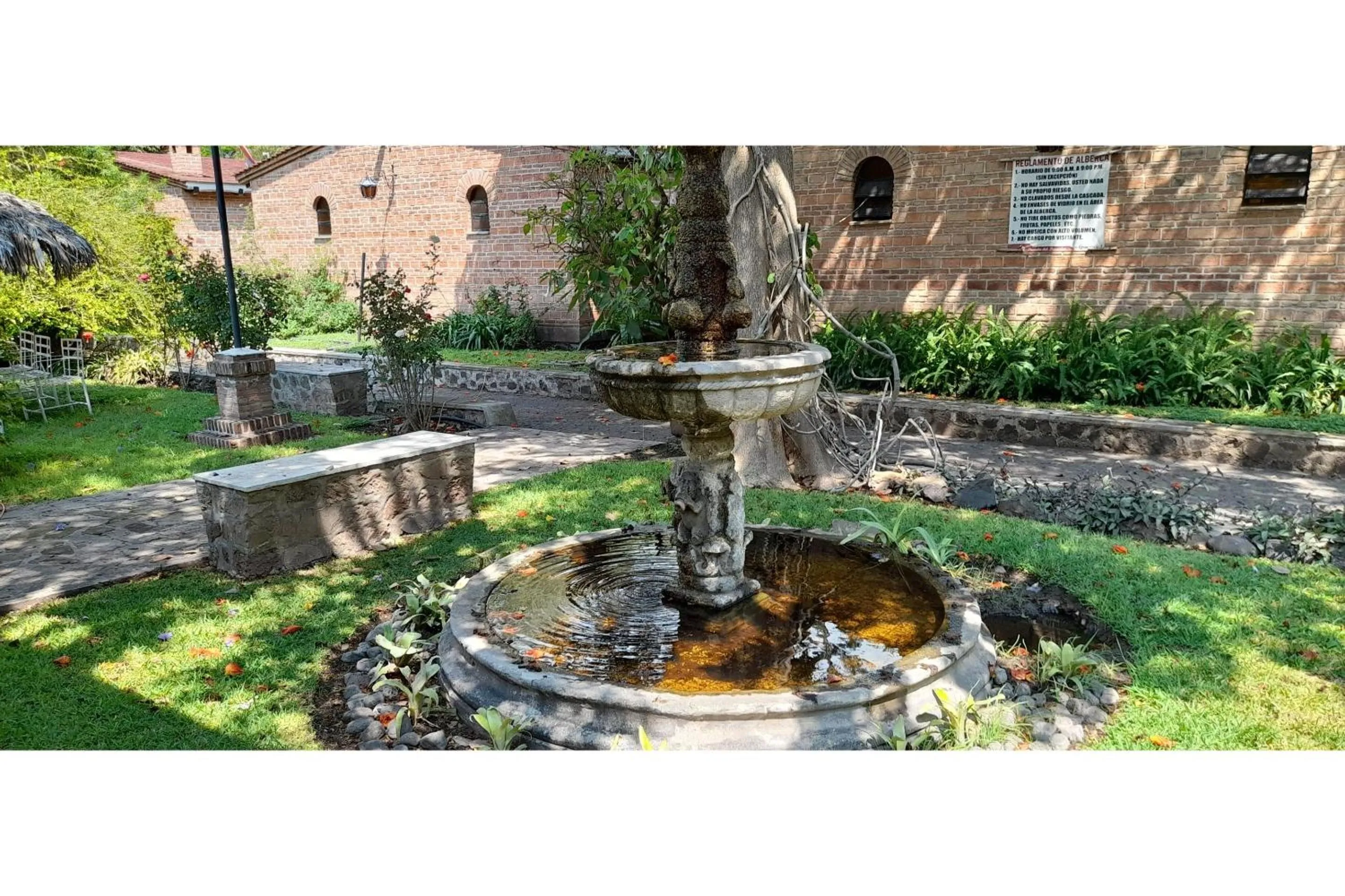 Garden in Capital O Posada Del Pescador Jocotepec