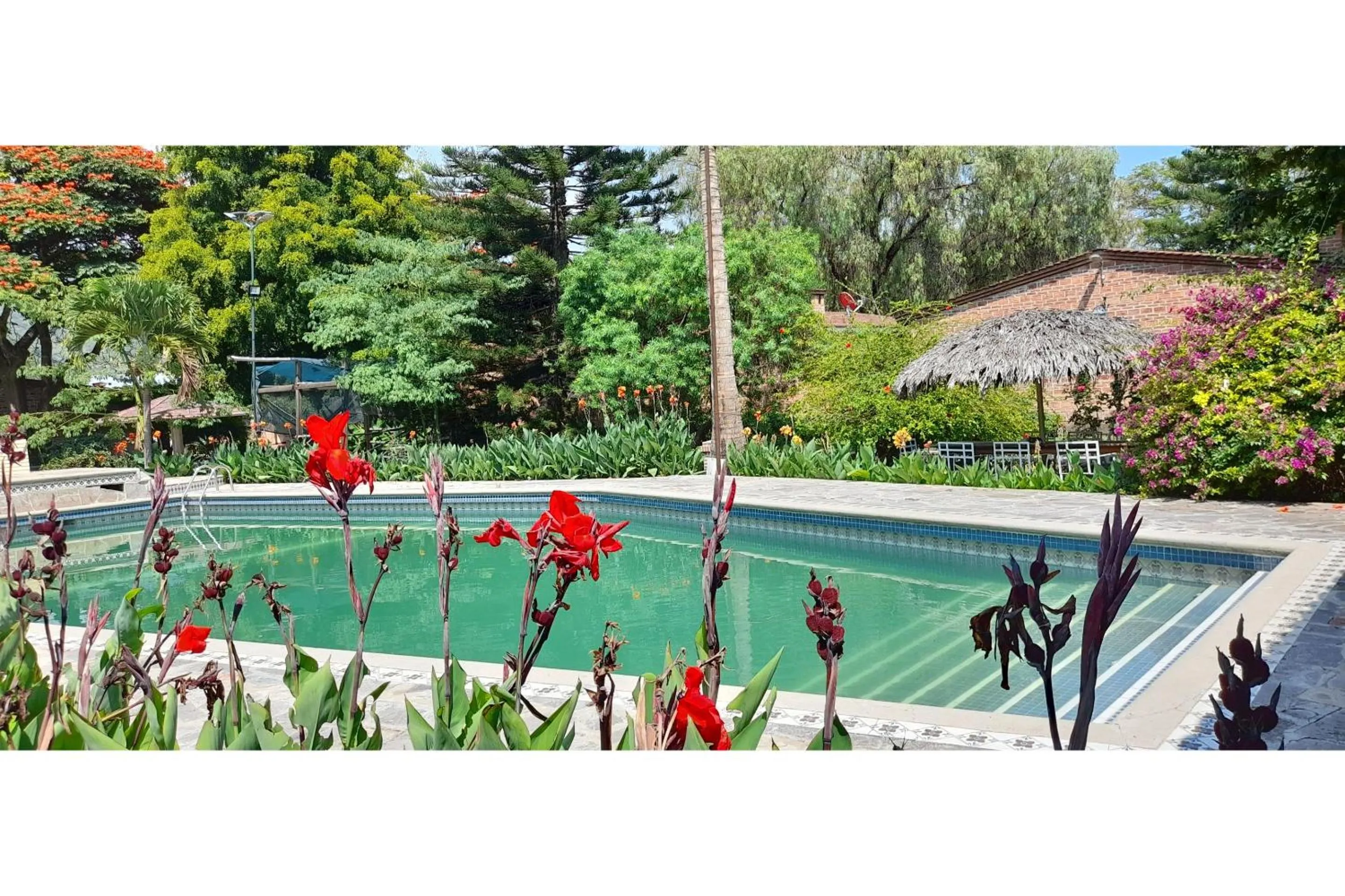 Swimming pool in Capital O Posada Del Pescador Jocotepec