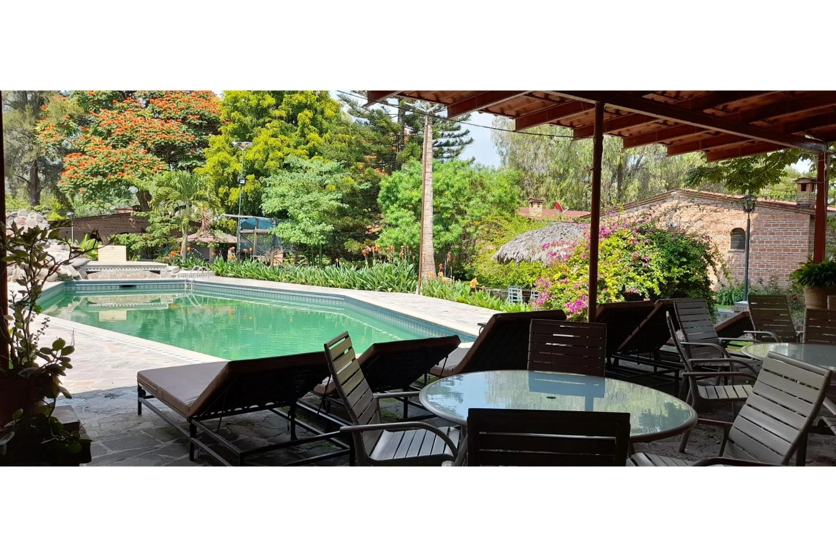 Swimming pool in Capital O Posada Del Pescador Jocotepec