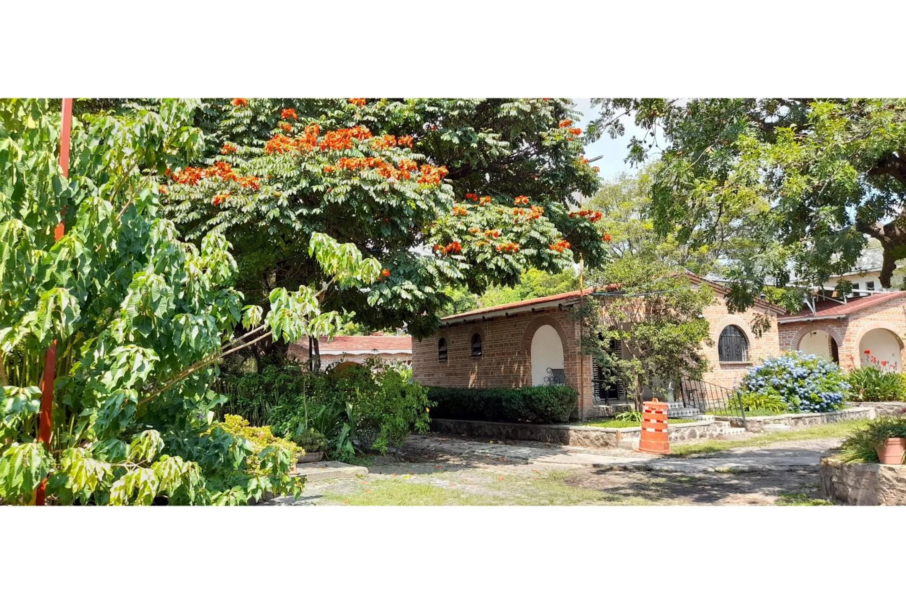 Garden in Capital O Posada Del Pescador Jocotepec