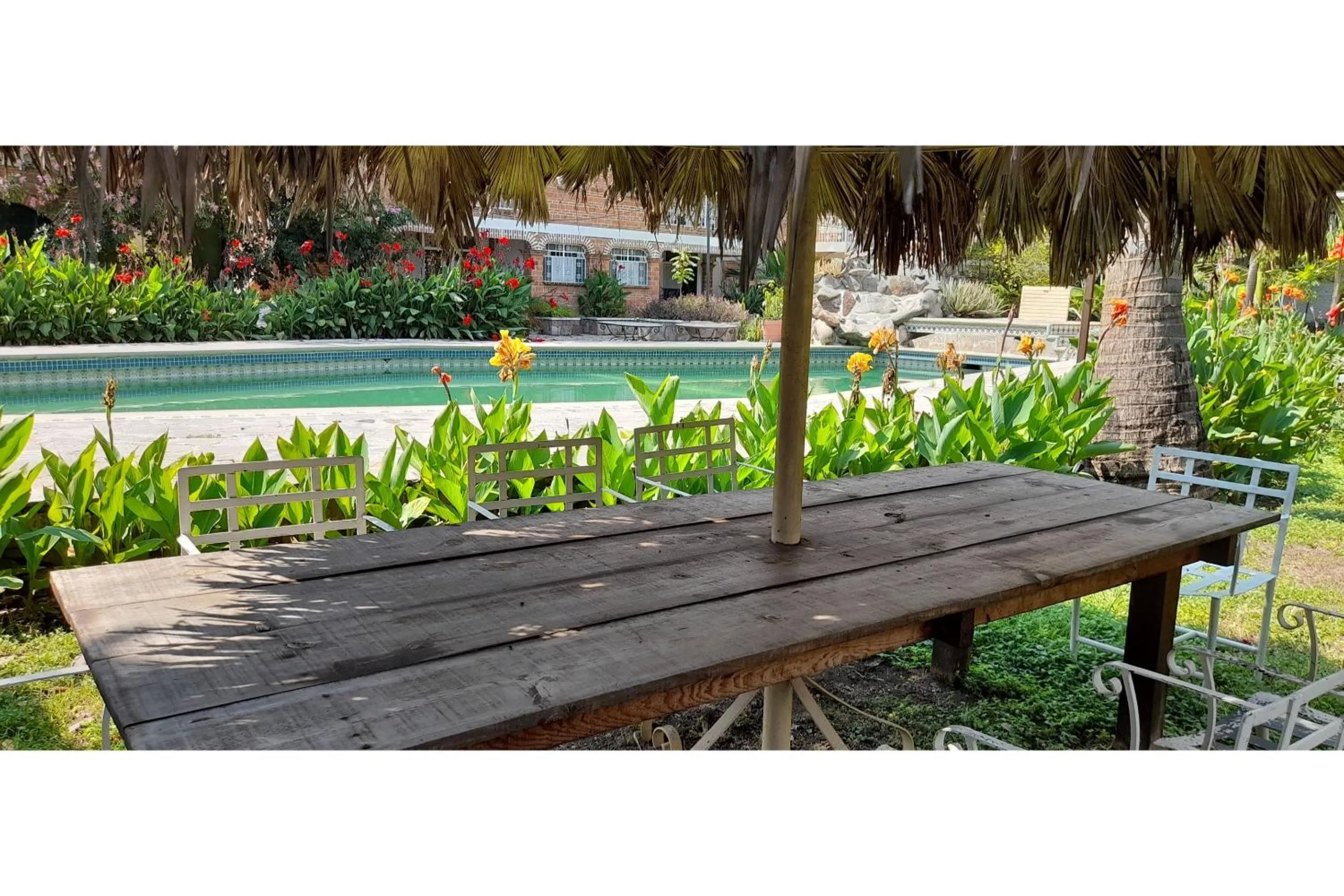 Garden in Capital O Posada Del Pescador Jocotepec