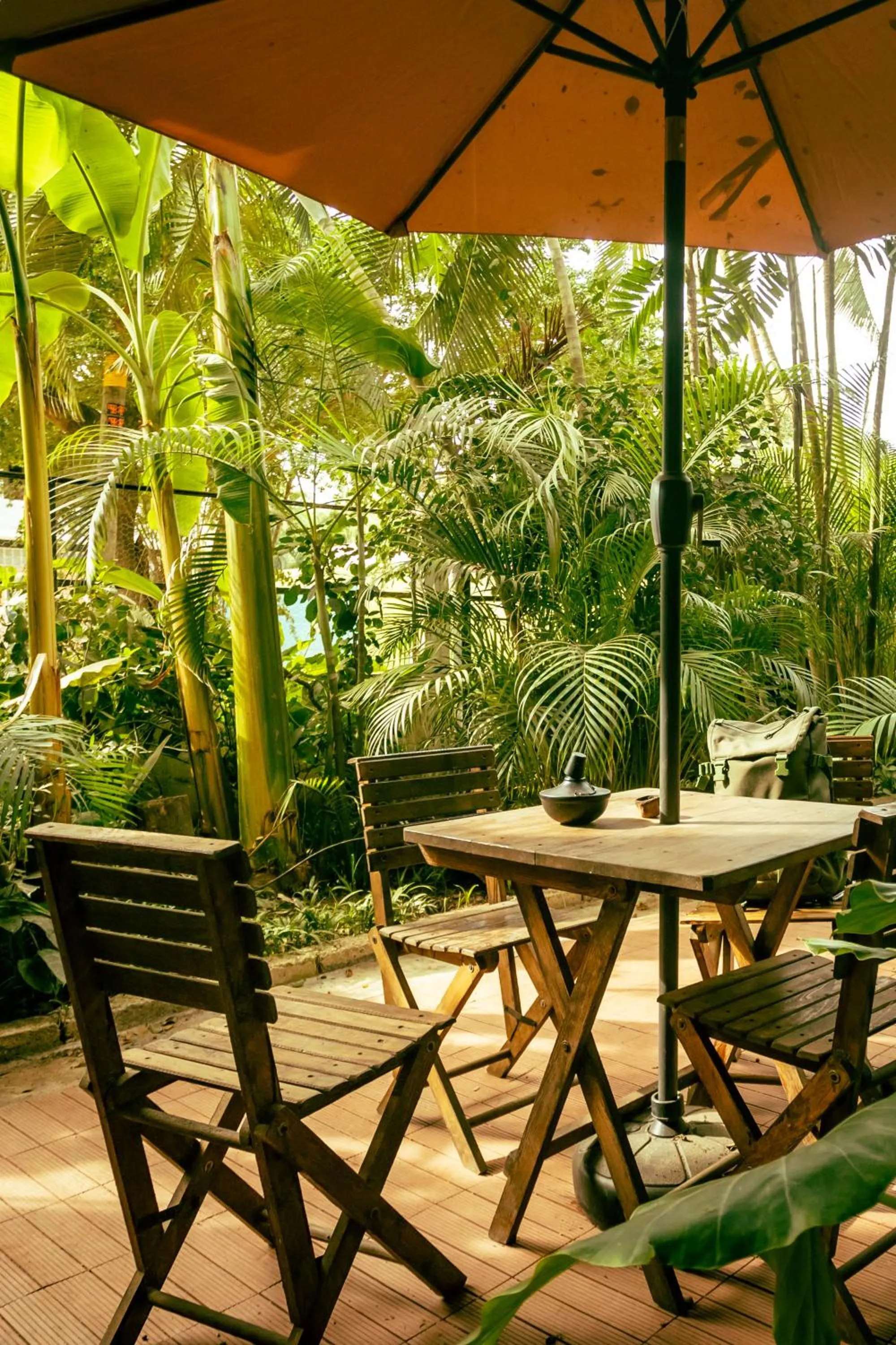 Garden in El Refugio de Sayulita - Solo Adultos