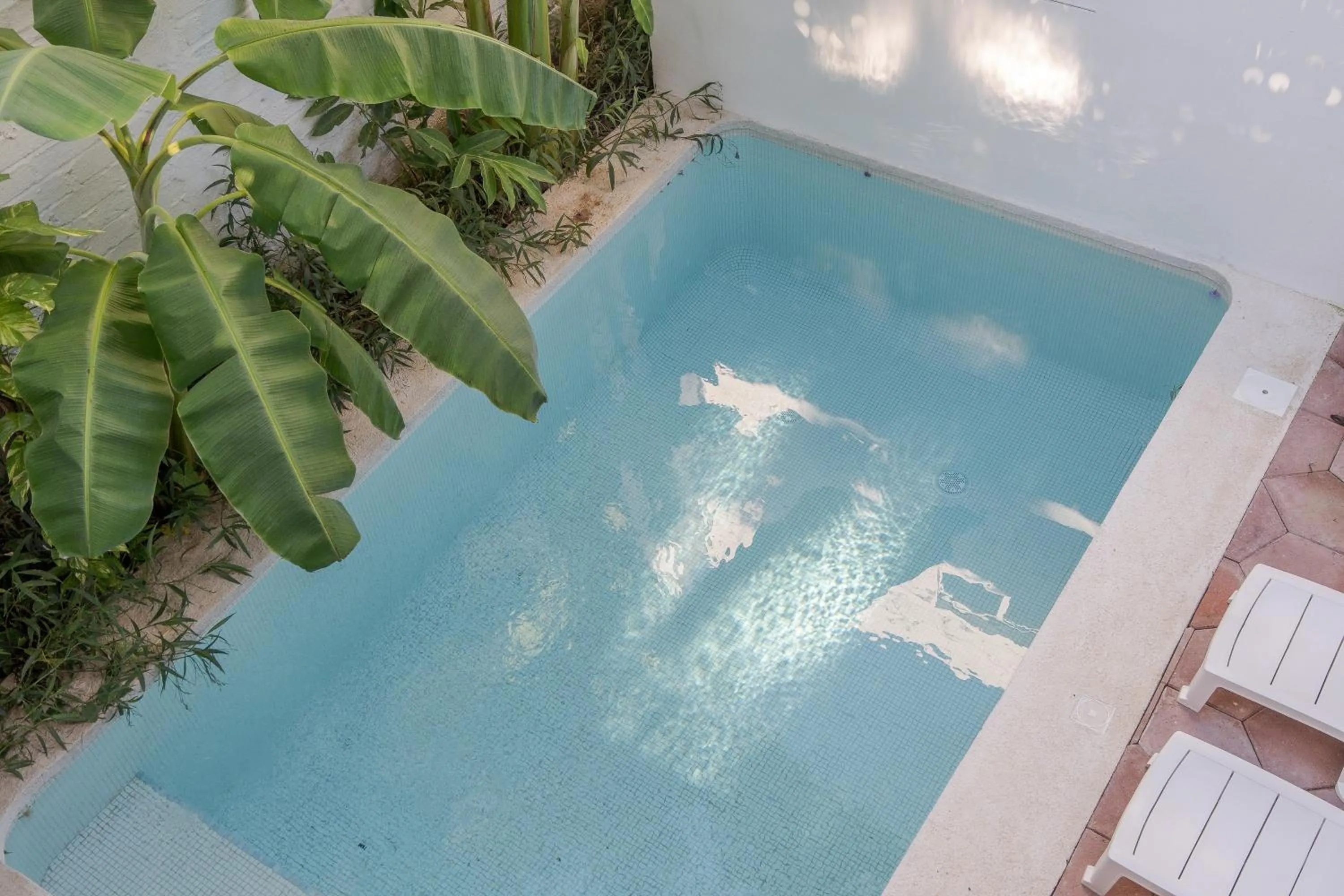 Pool view in El Refugio de Sayulita - Solo Adultos