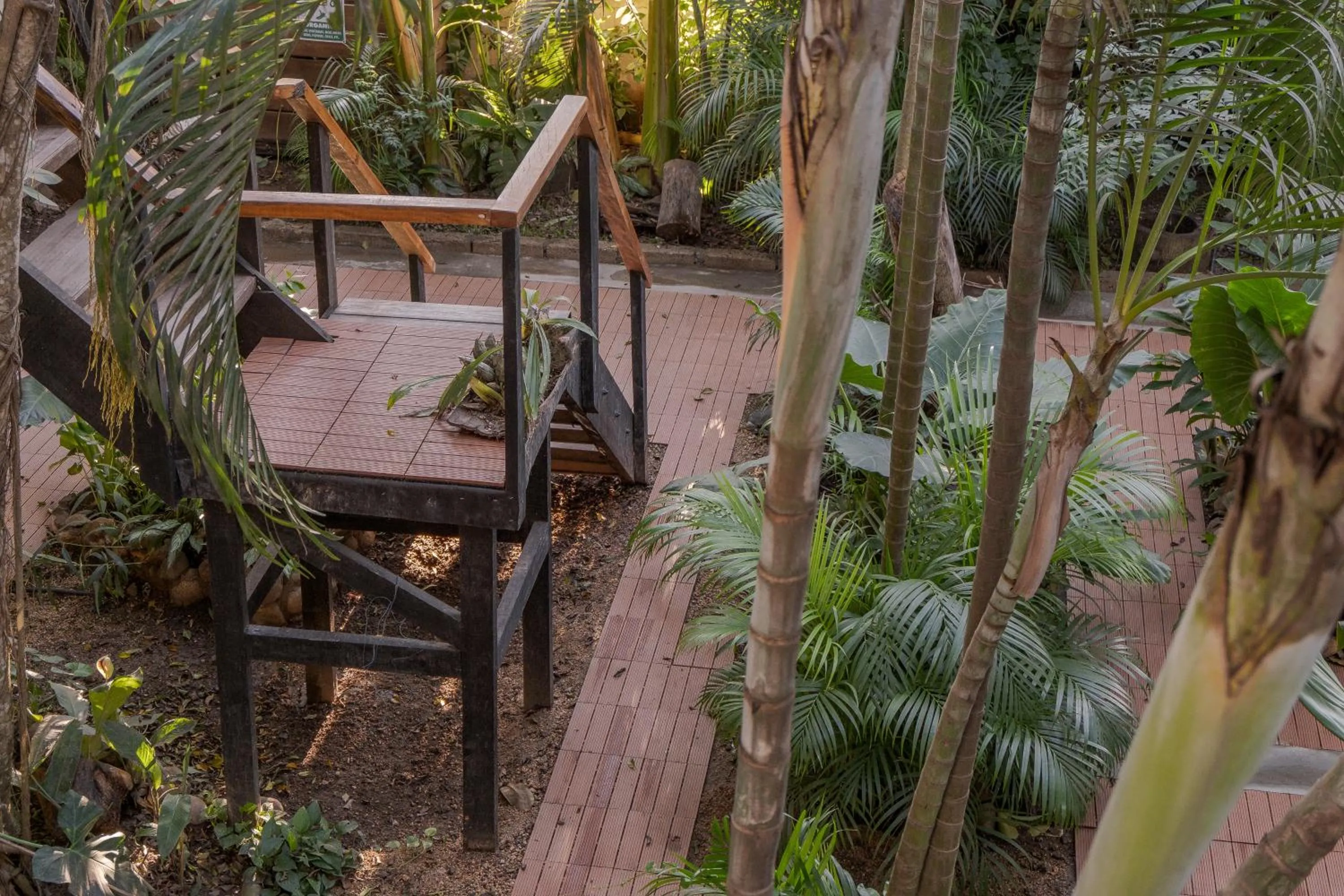 Off site in El Refugio de Sayulita - Solo Adultos