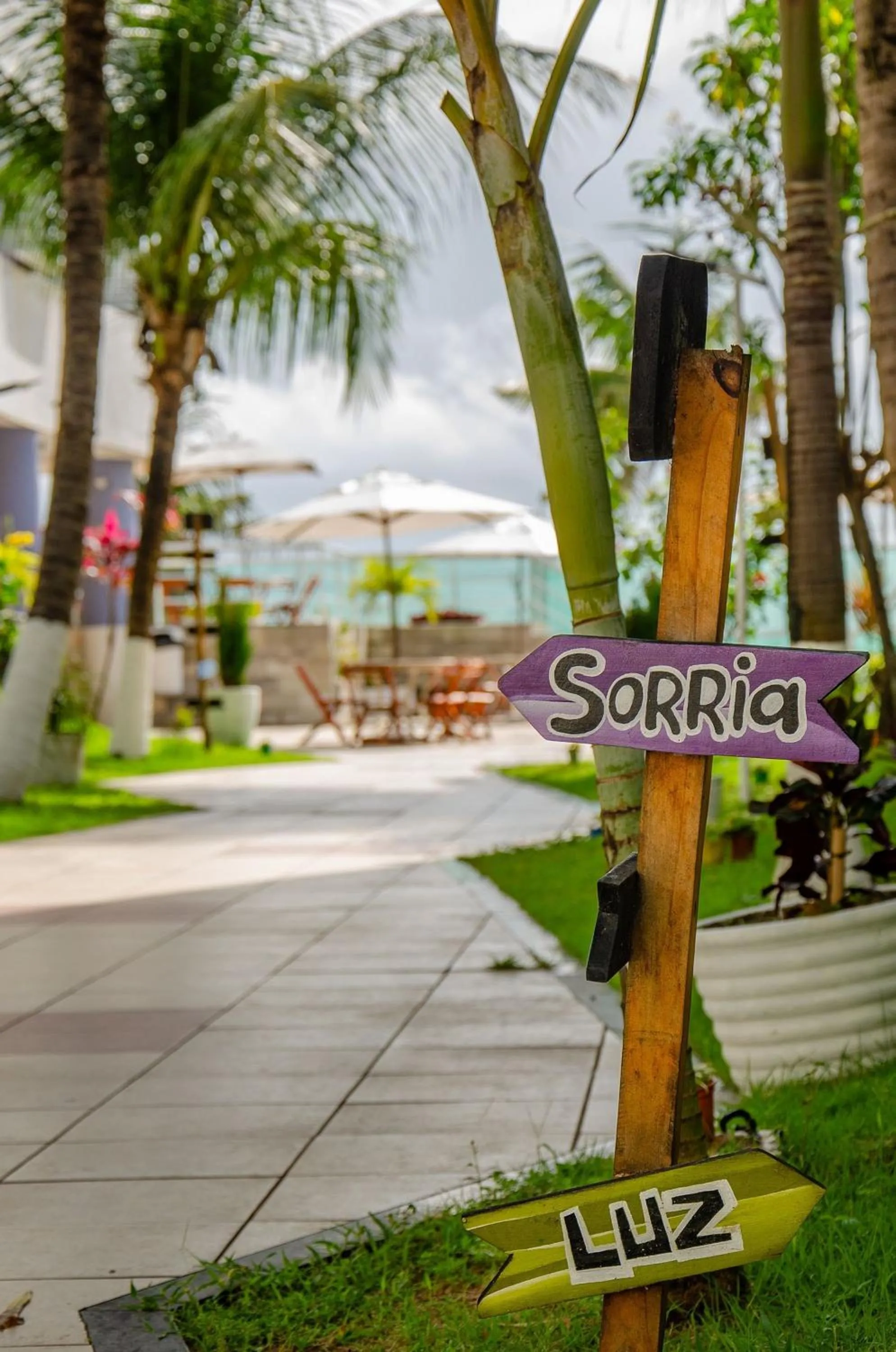 Natural landscape in Ponta Negra Beach Residence