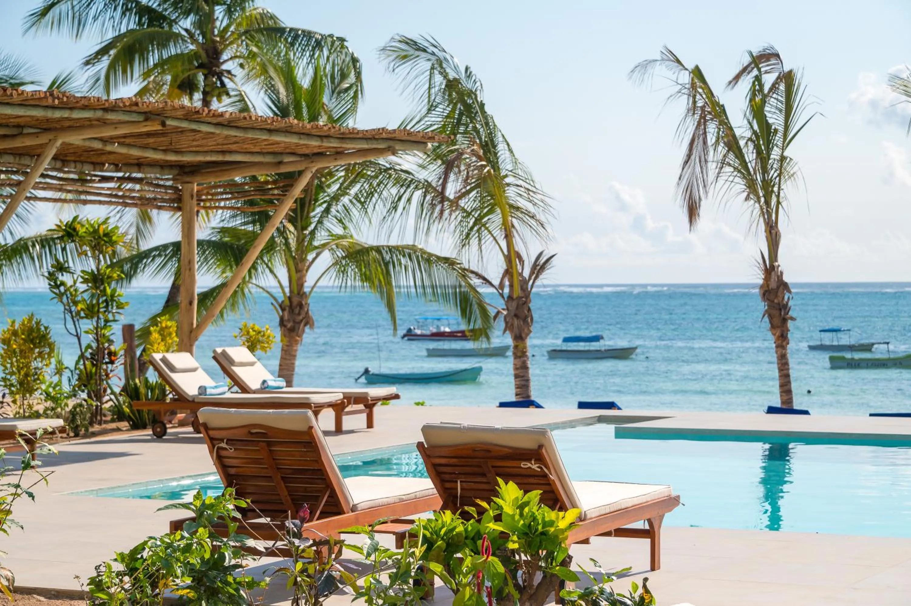 Pool view in Ocean Boutique Hotel - Adults only