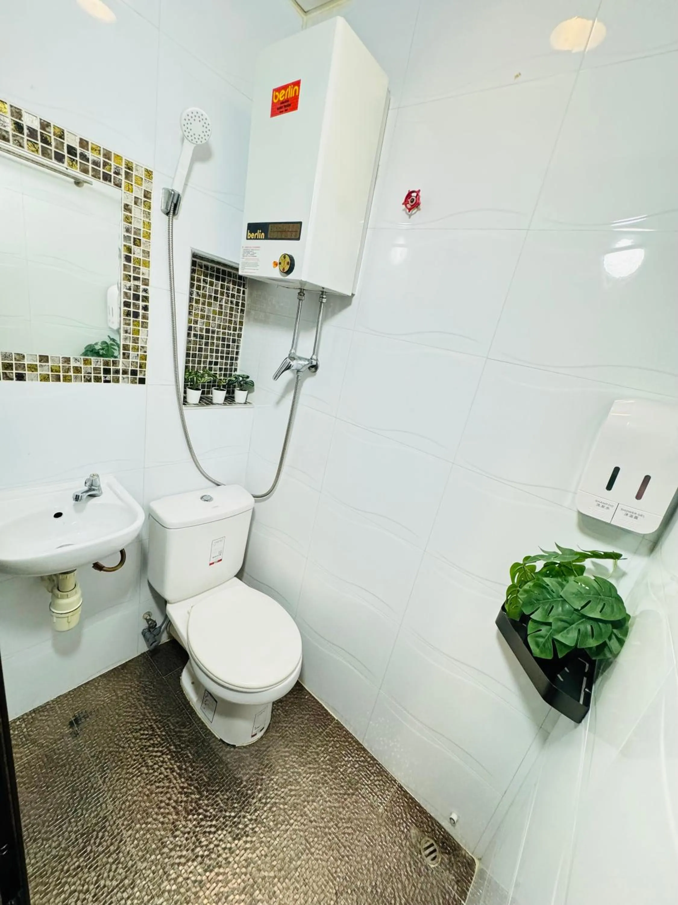 Standard Single Room in Park Guesthouse