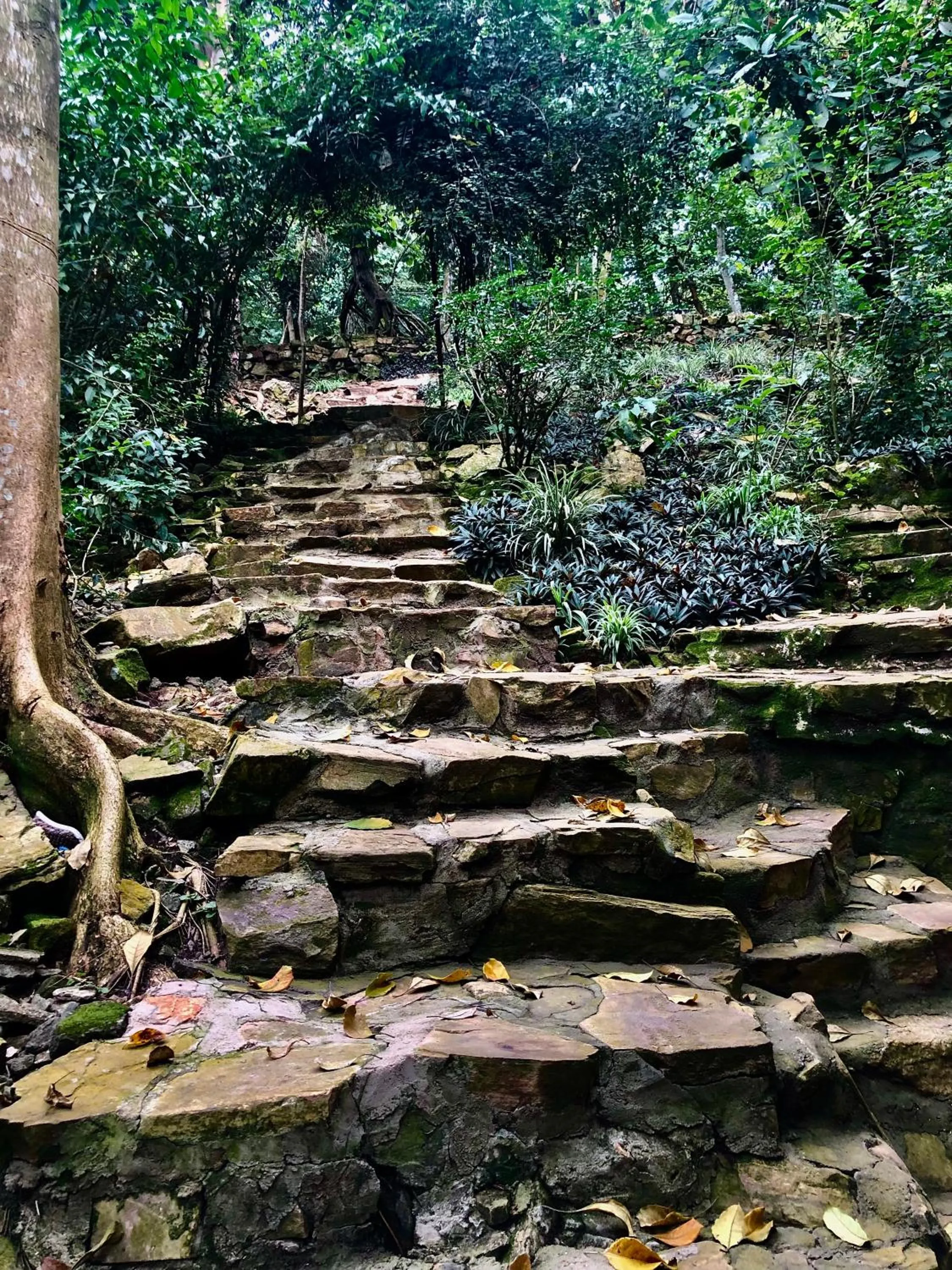 Natural landscape in The Address Resort