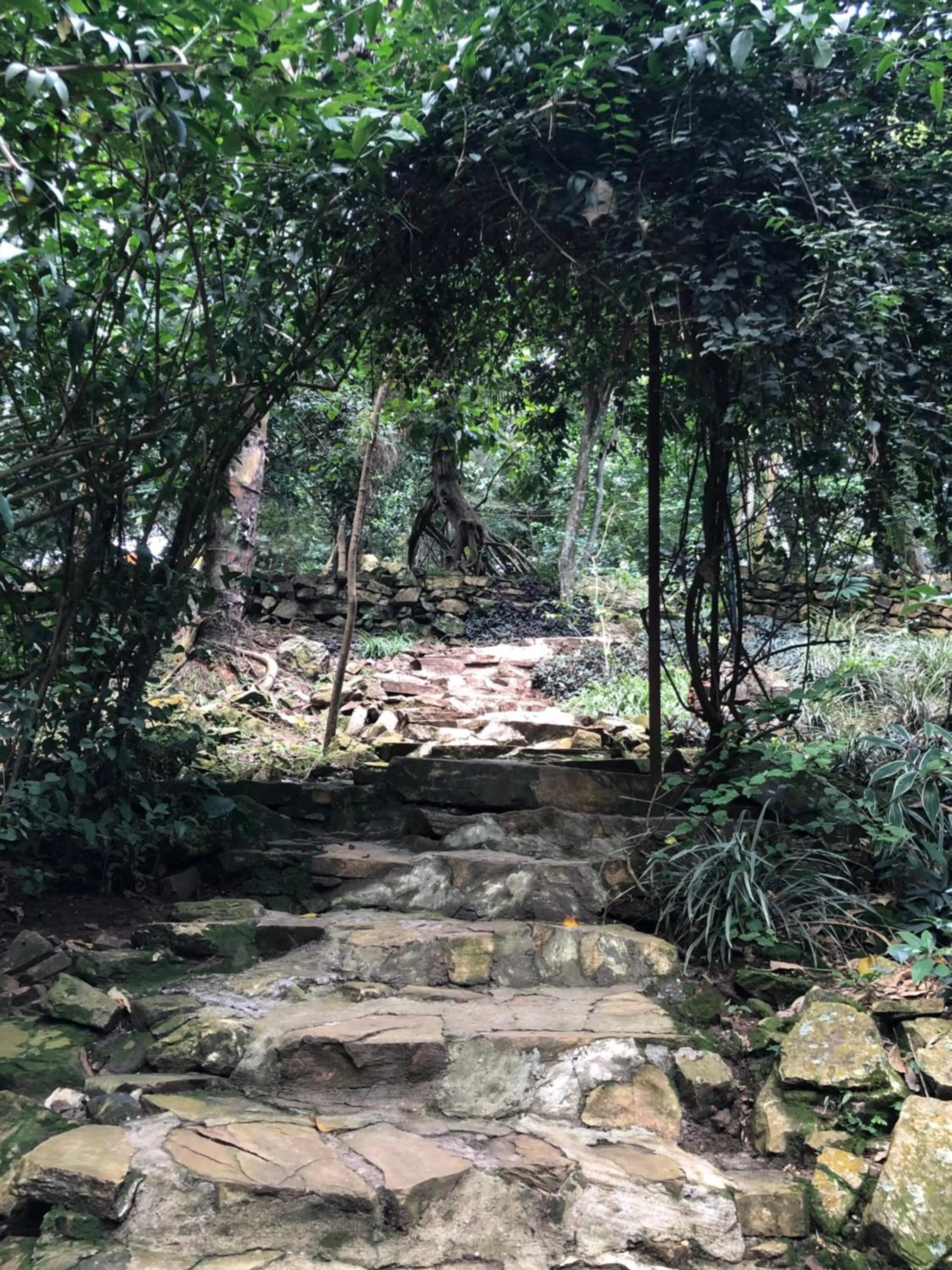 Garden in The Address Resort