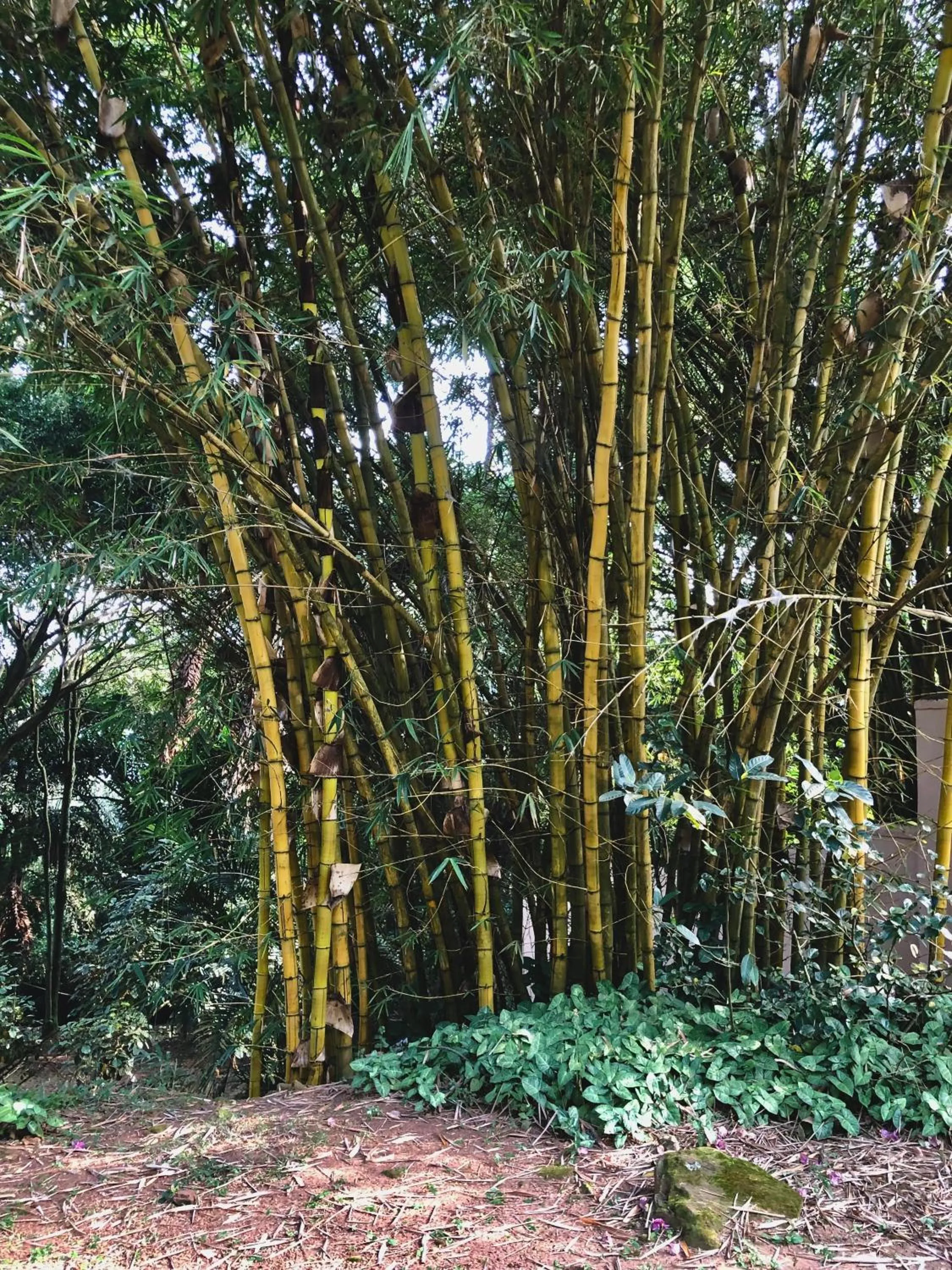 Day in The Address Resort