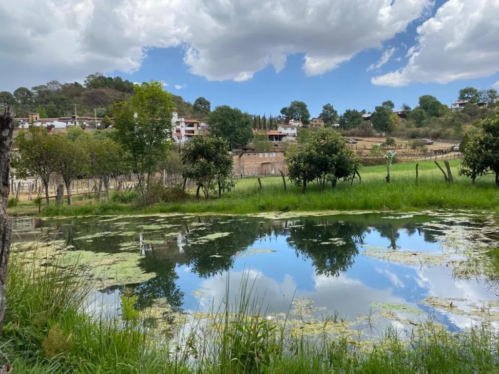 Natural landscape in La Toscanía Tapalpa Resort & Agroturismo