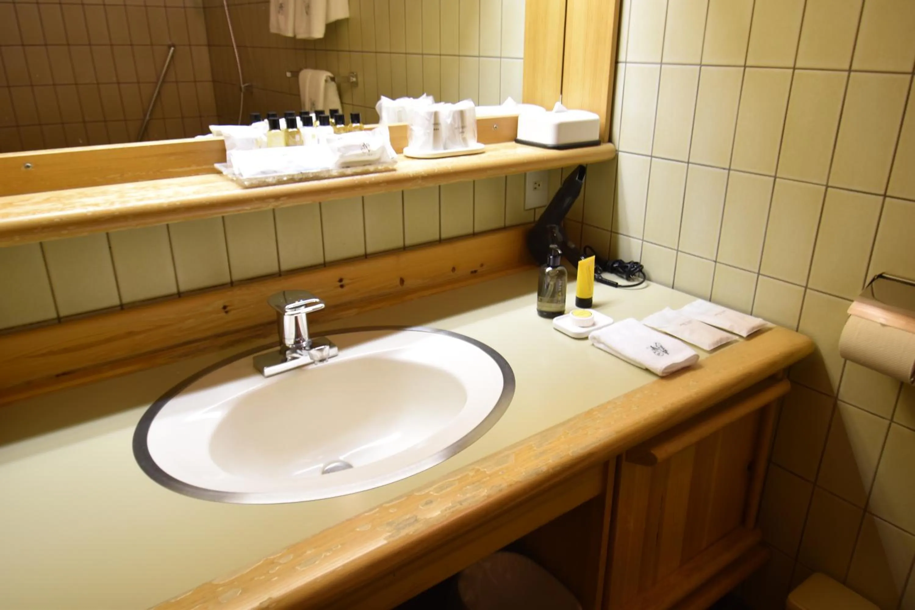 Bathroom in Hotel Nidom