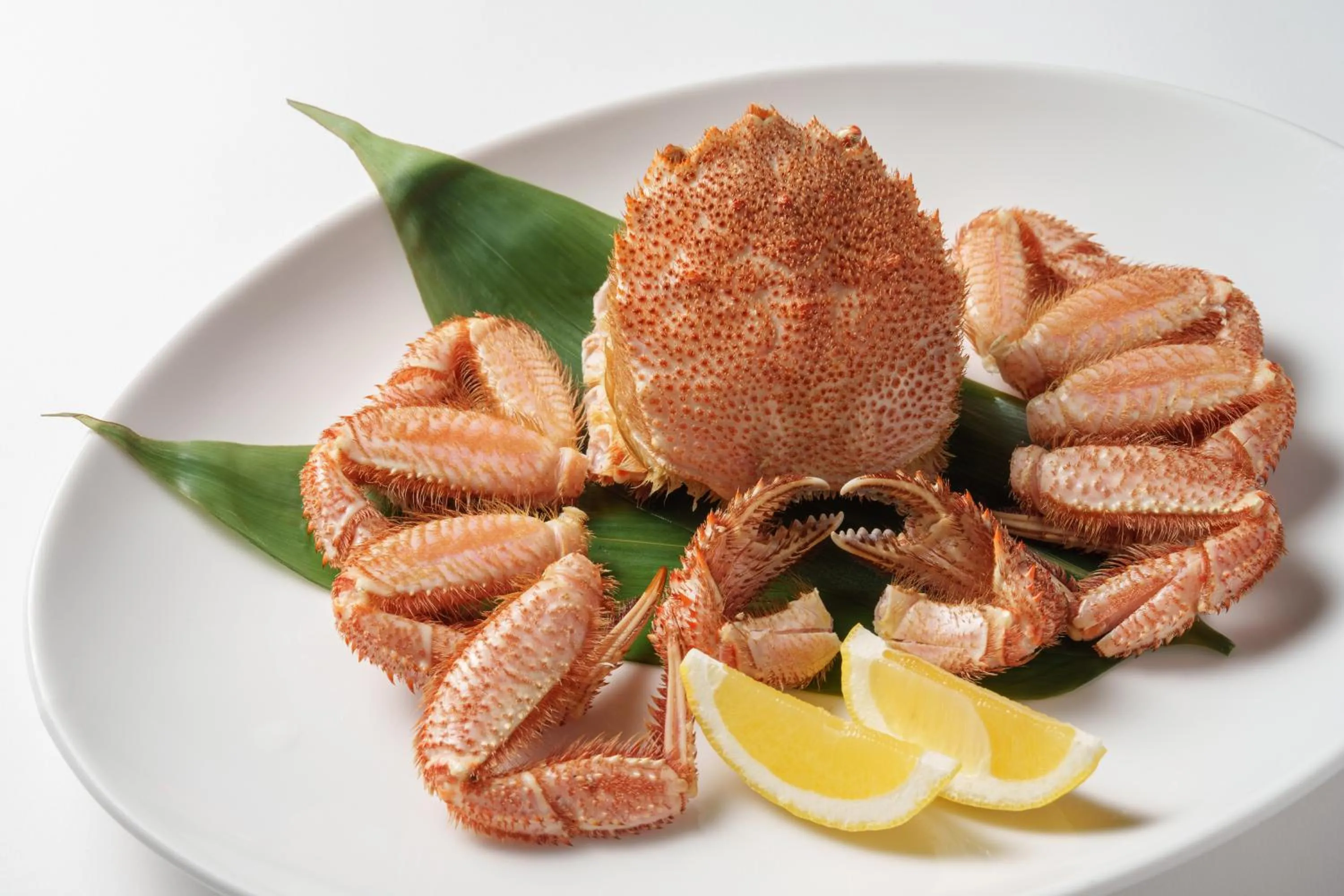 Restaurant/places to eat in Hotel Nidom