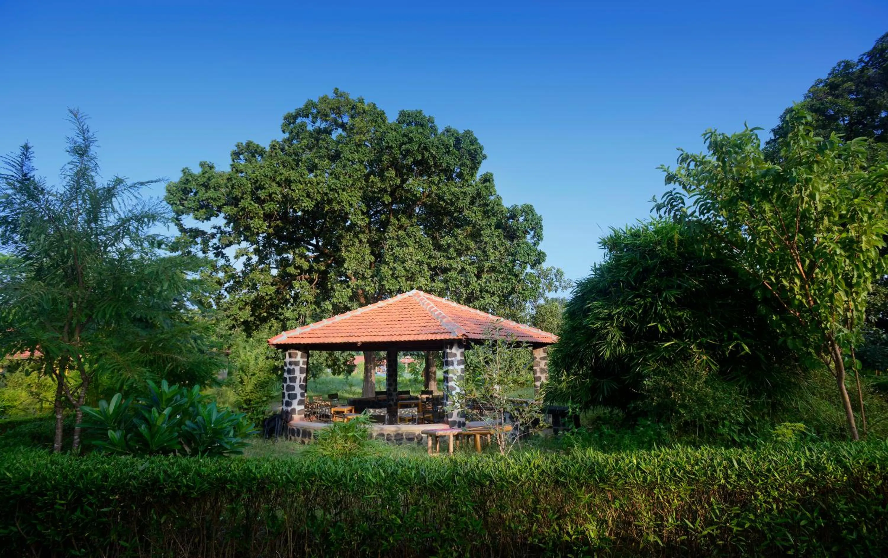 Garden in Aranyak Resort