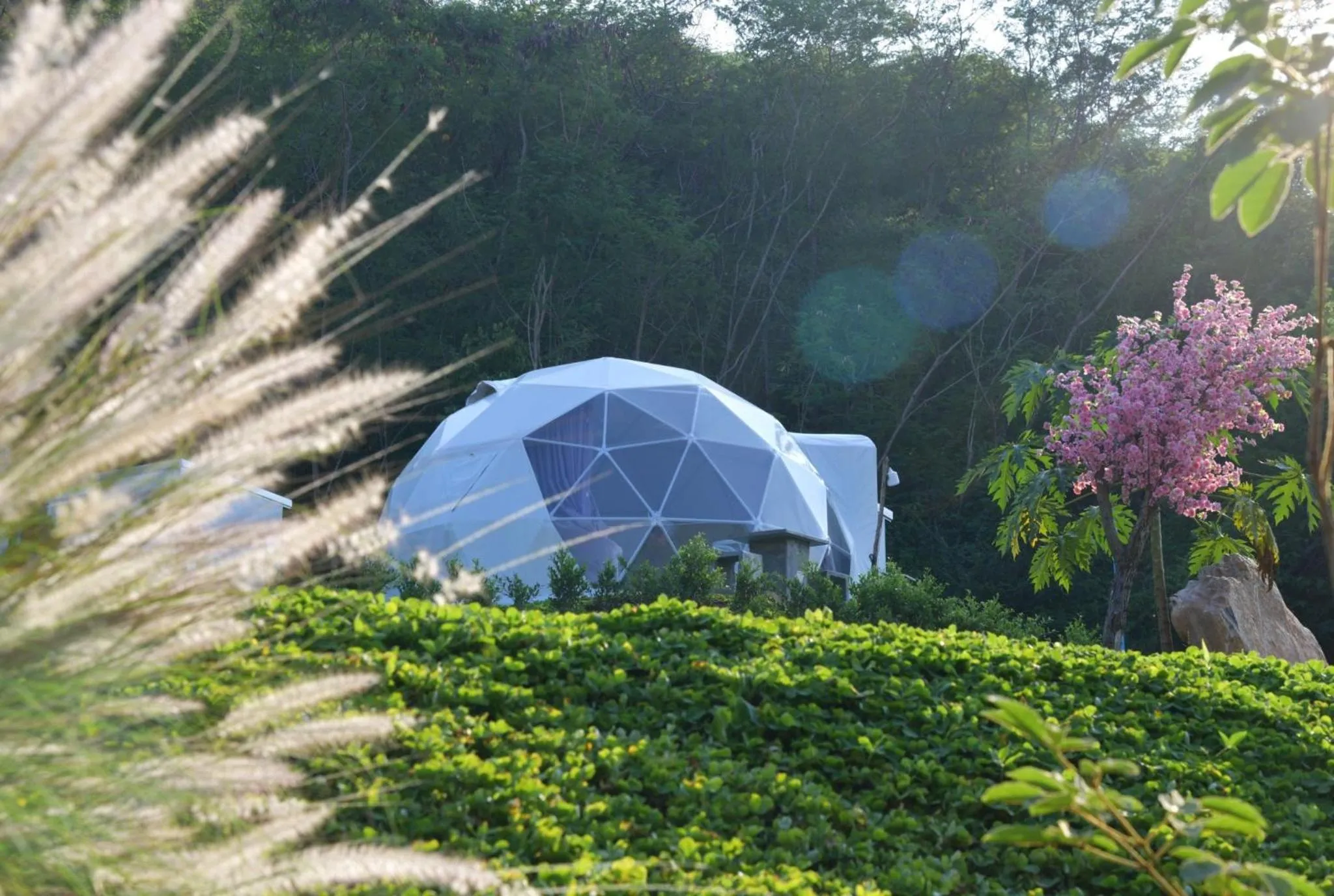 Day in NiNo San Glamping - Pak Chong