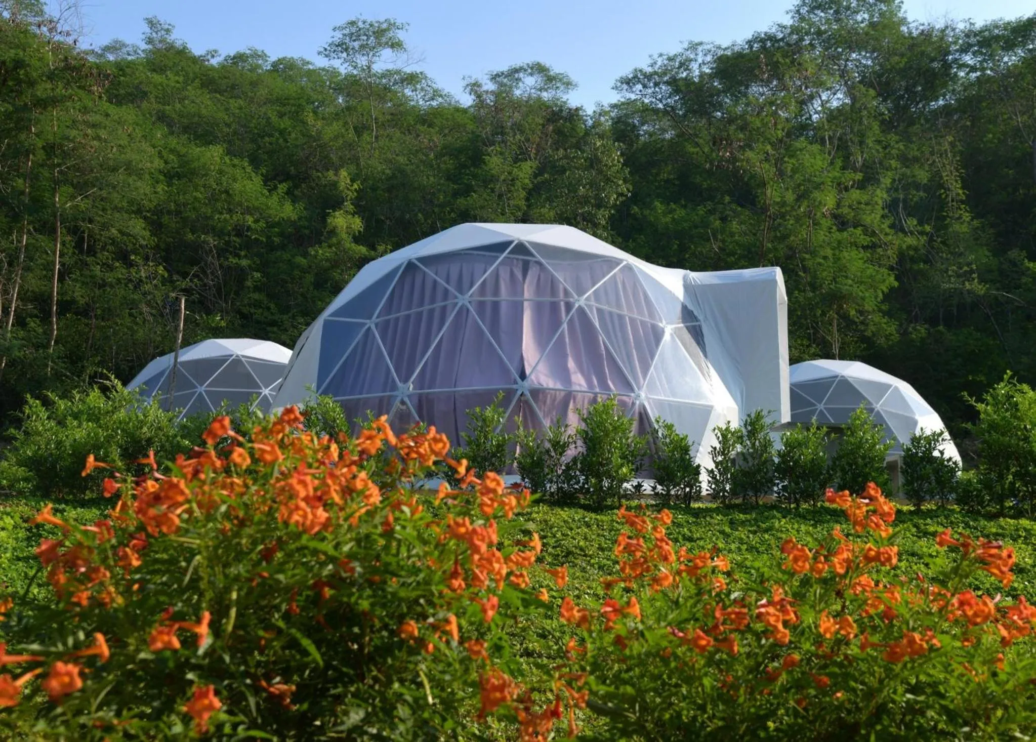 Day in NiNo San Glamping - Pak Chong